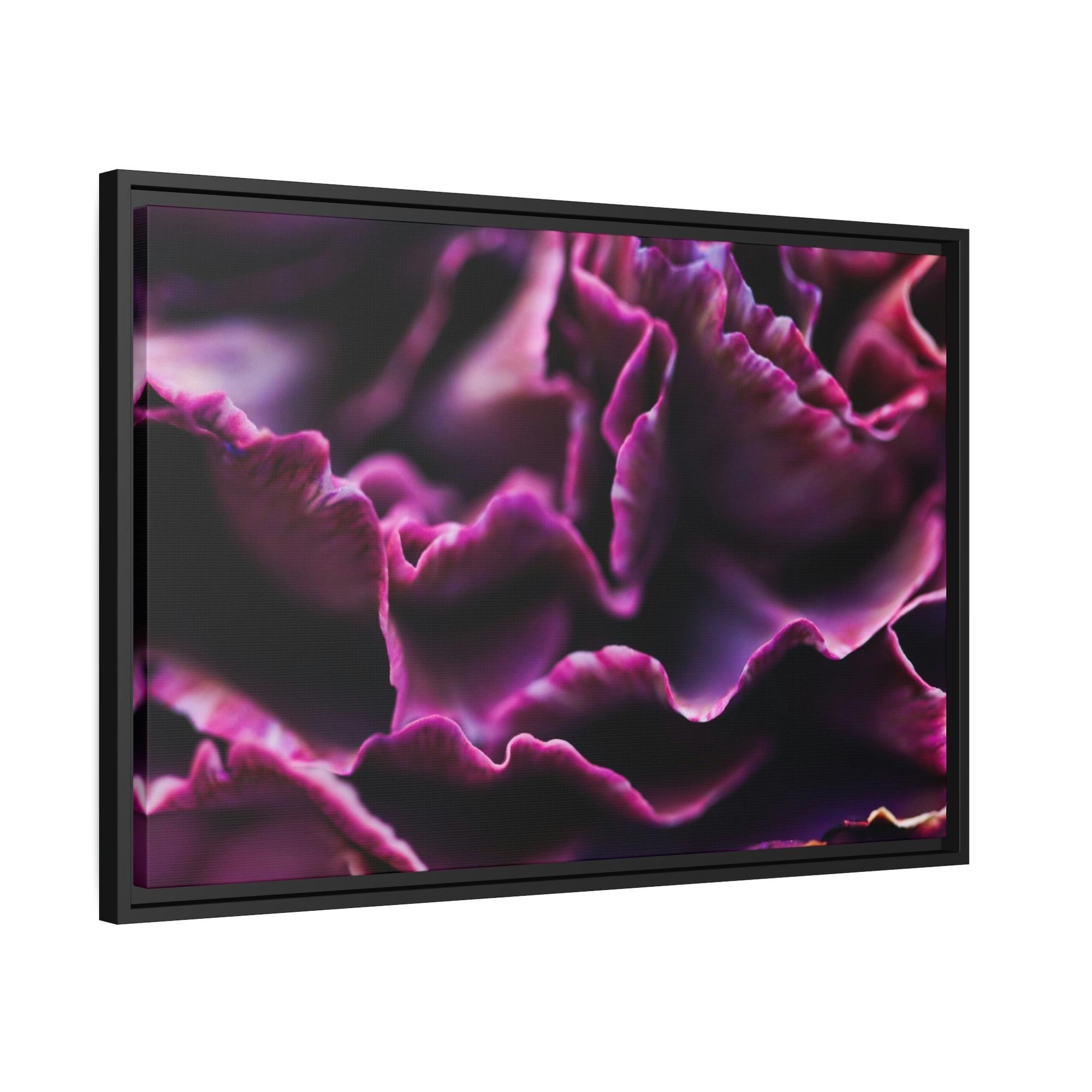 Carnations Colorful Petals: Framed Canvas and Wall Art of Carnations for Your Walls