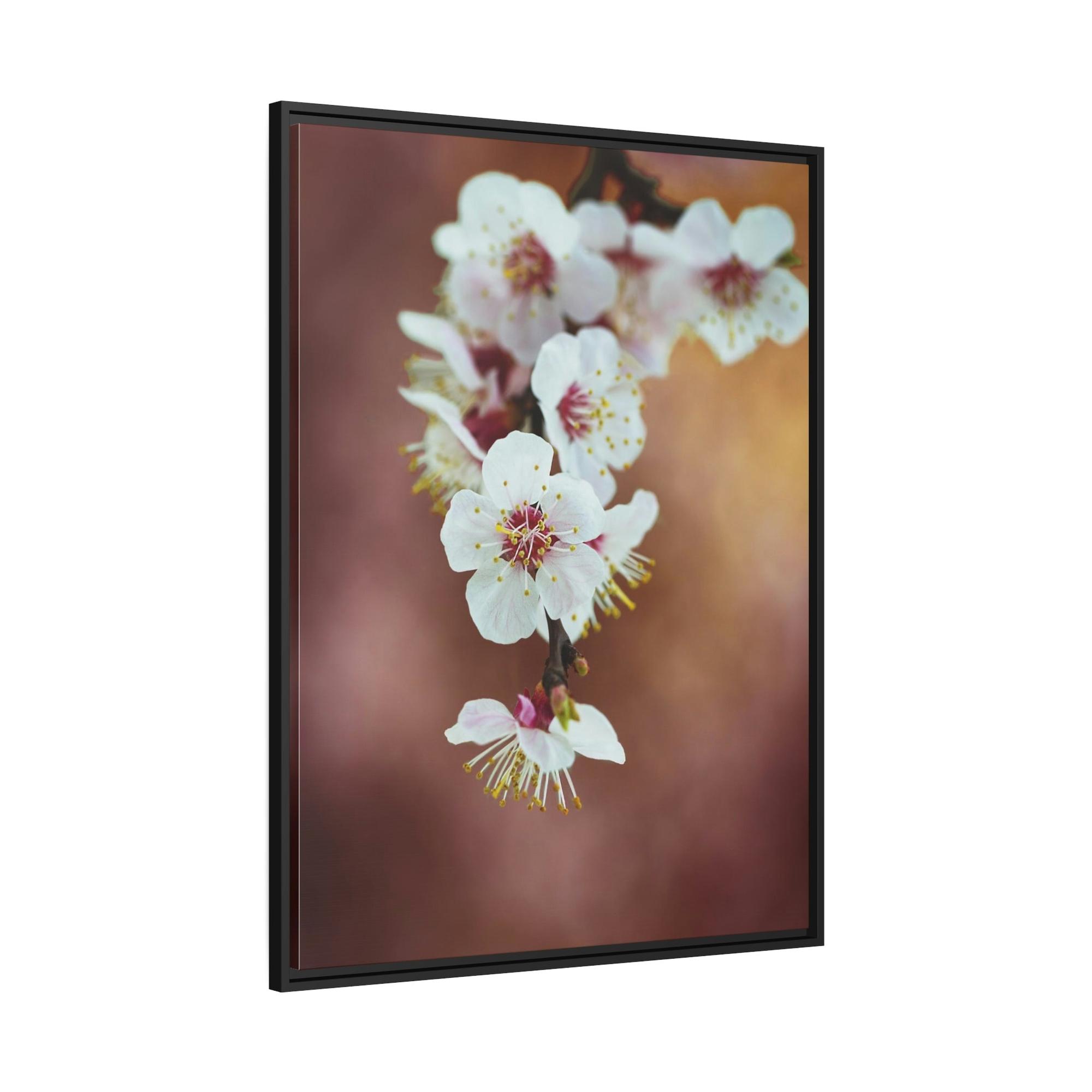 Almond Blossoms Almond Blossoms in Bloom: Framed Canvas & Poster Wall Art