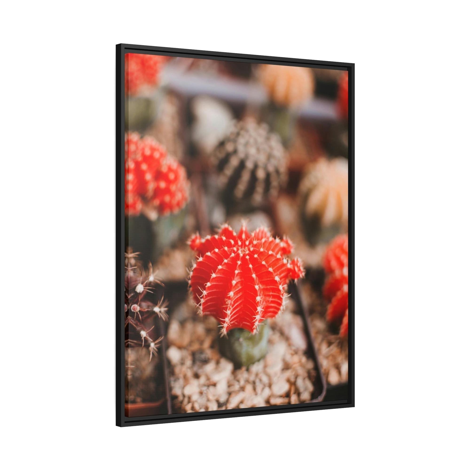 Cactus Cactus Kingdom: Canvas and Poster Prints of a Prickly Paradise
