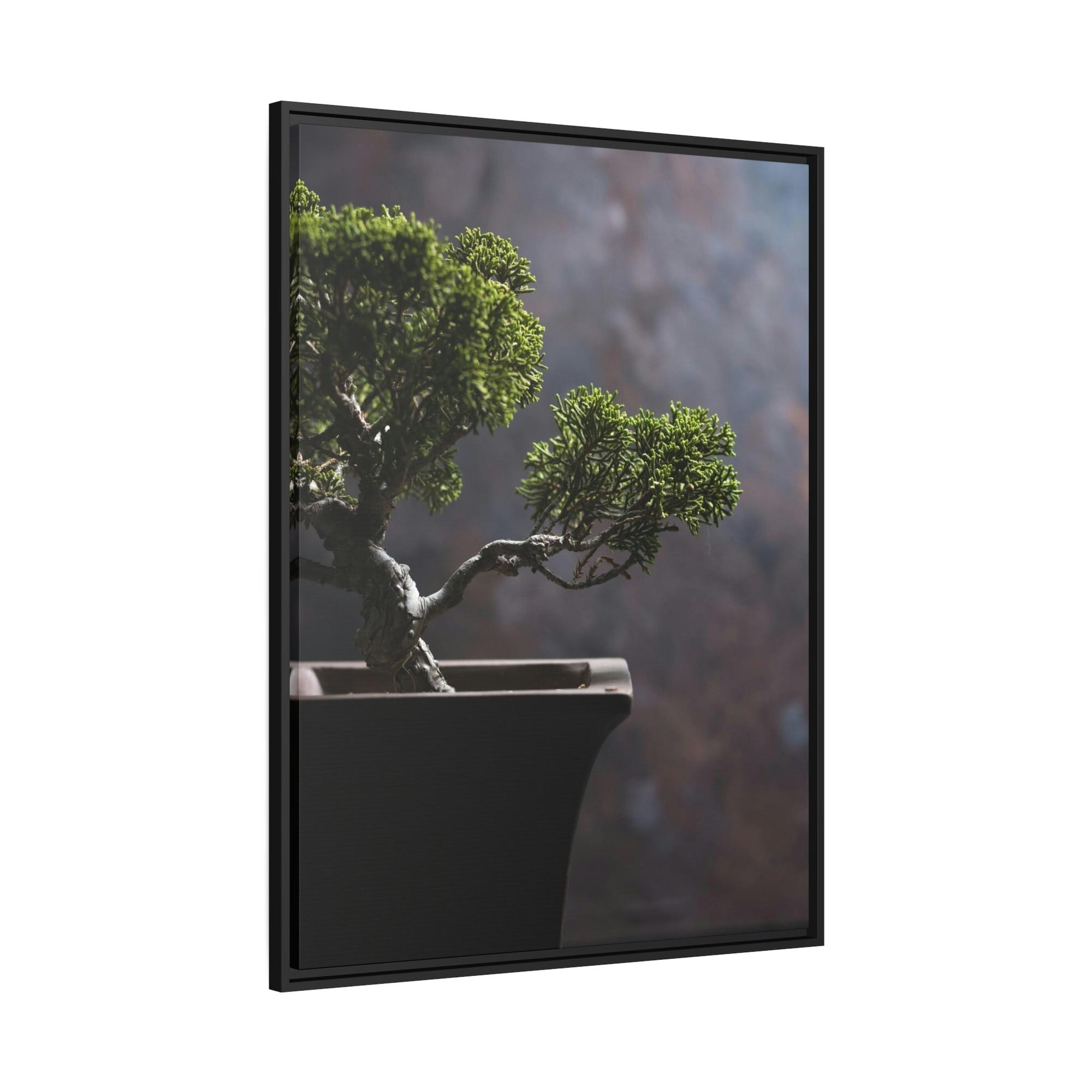 Bonsai Tree Bonsai Harmony: Framed Canvas and Print with Balanced Bonsai Tree Art