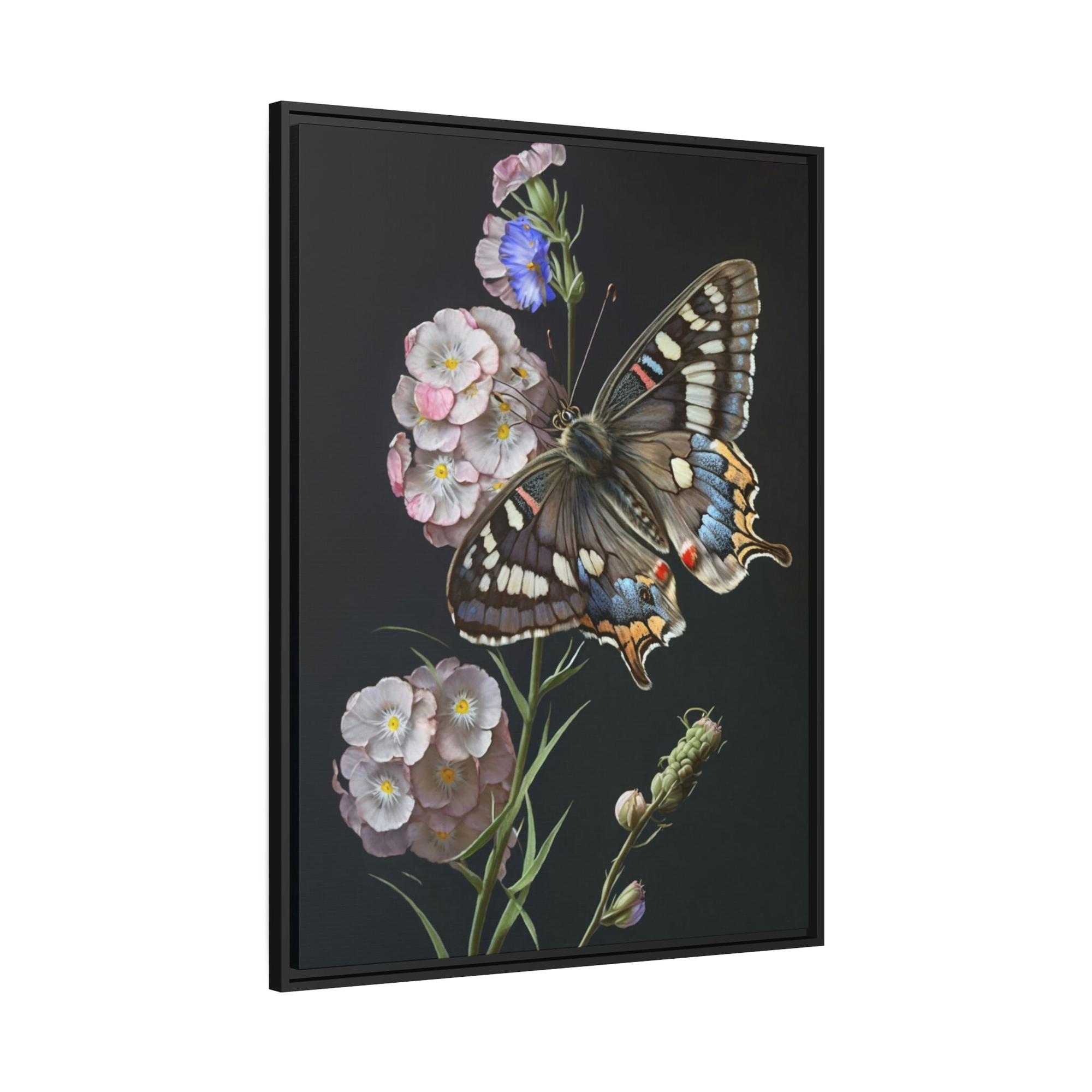 Butterflys One Butterfly: Framed Canvas & Poster Print Capturing the Beauty of a Single Insect