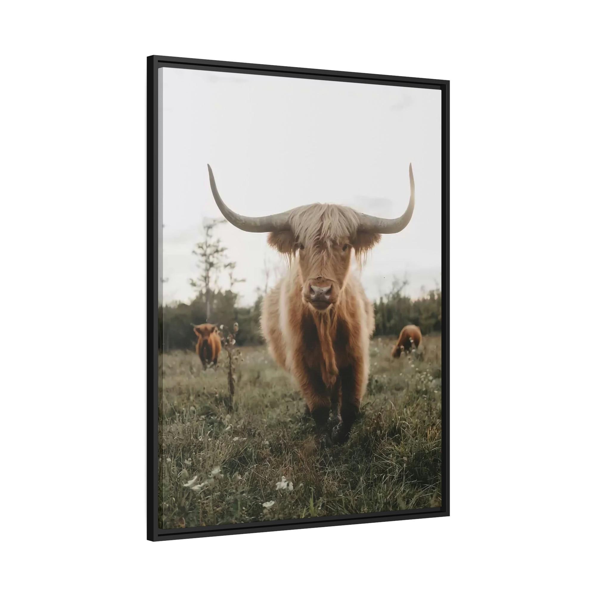 Highland Cow Highland Cow | Grazing Animals | Cows art — Pixoram