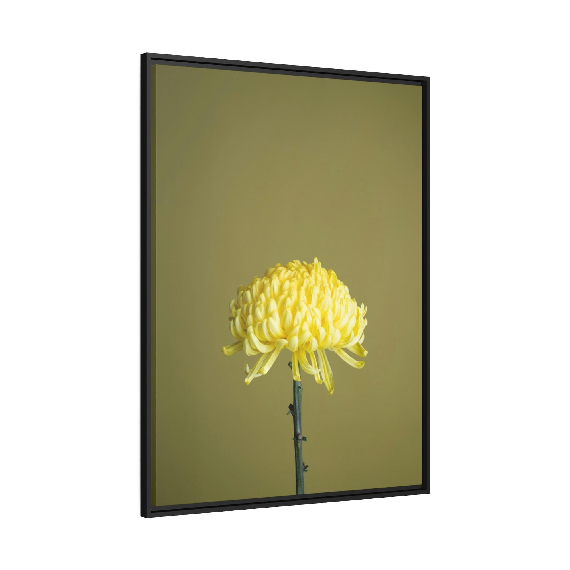 Chrysanthemums Chrysanthemum Elegance: Striking Wall Art on Framed Canvas