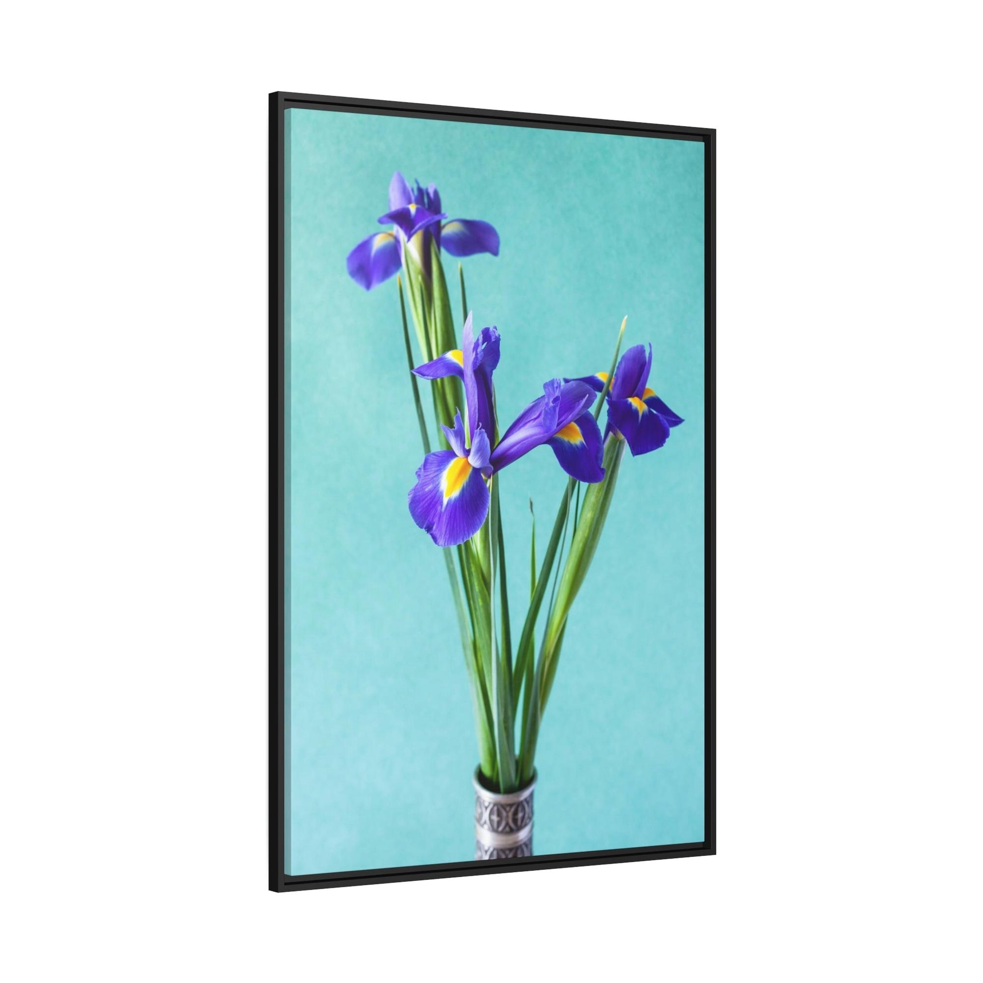 Irises Iris Radiance: A Canvas of Bright and Bold Blossoms