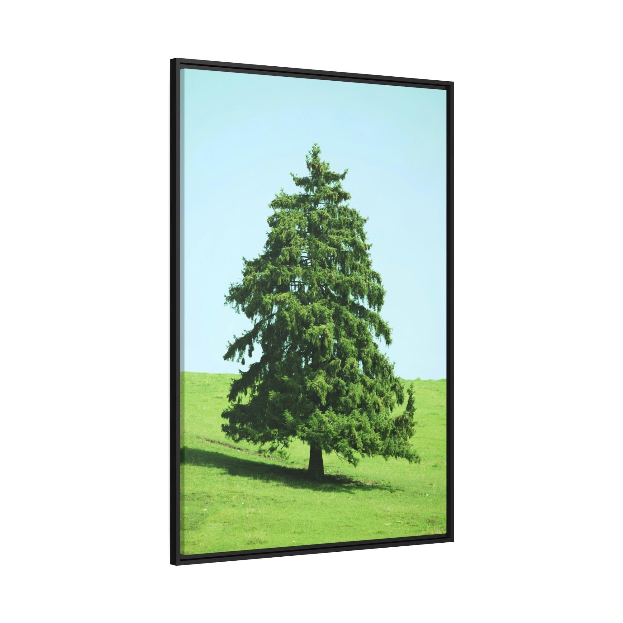 Cypress Tree A Cypress Oasis of Beauty and Tranquility: A Haven of Serenity and Peace