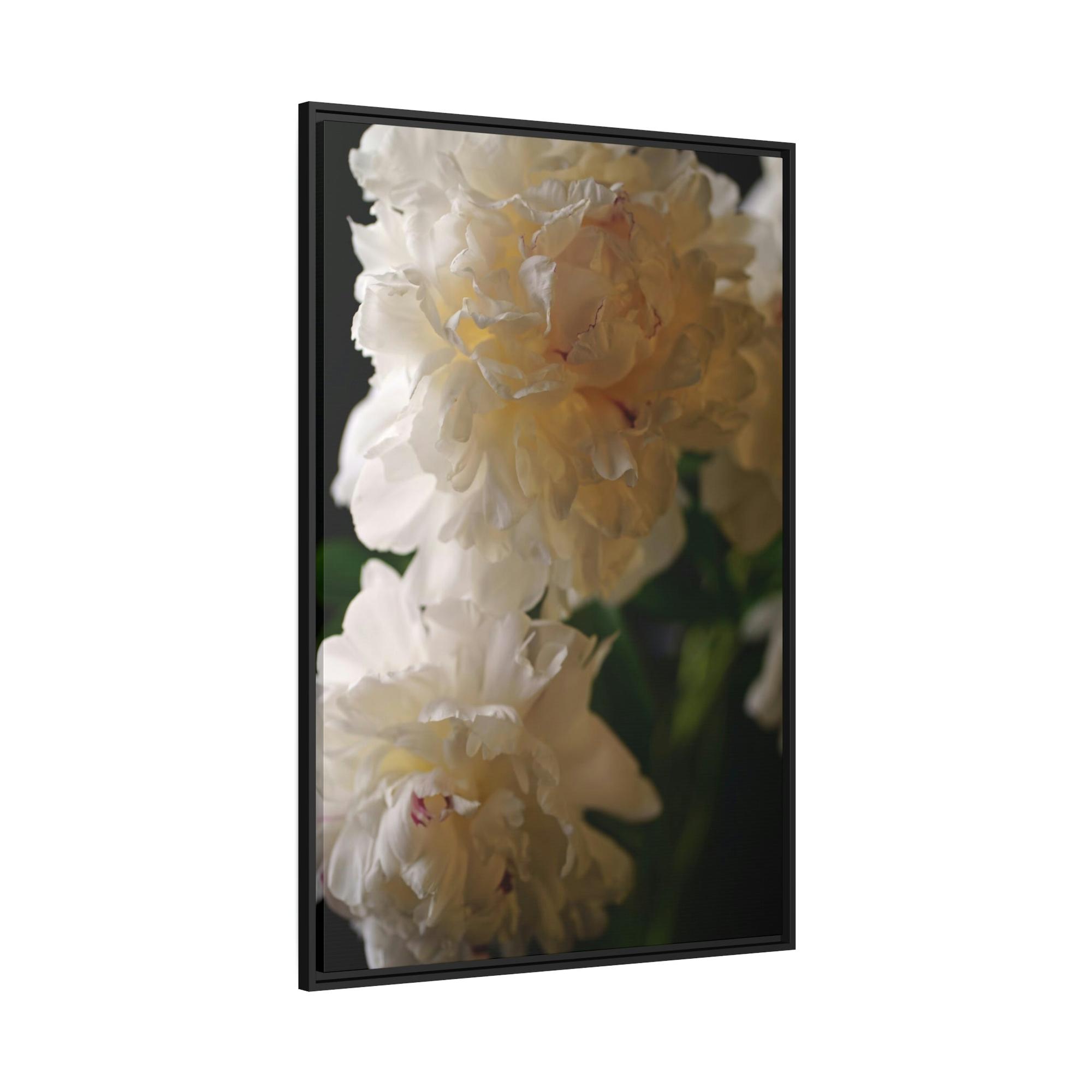 Peonies Dazzling Display: A Peony Extravaganza