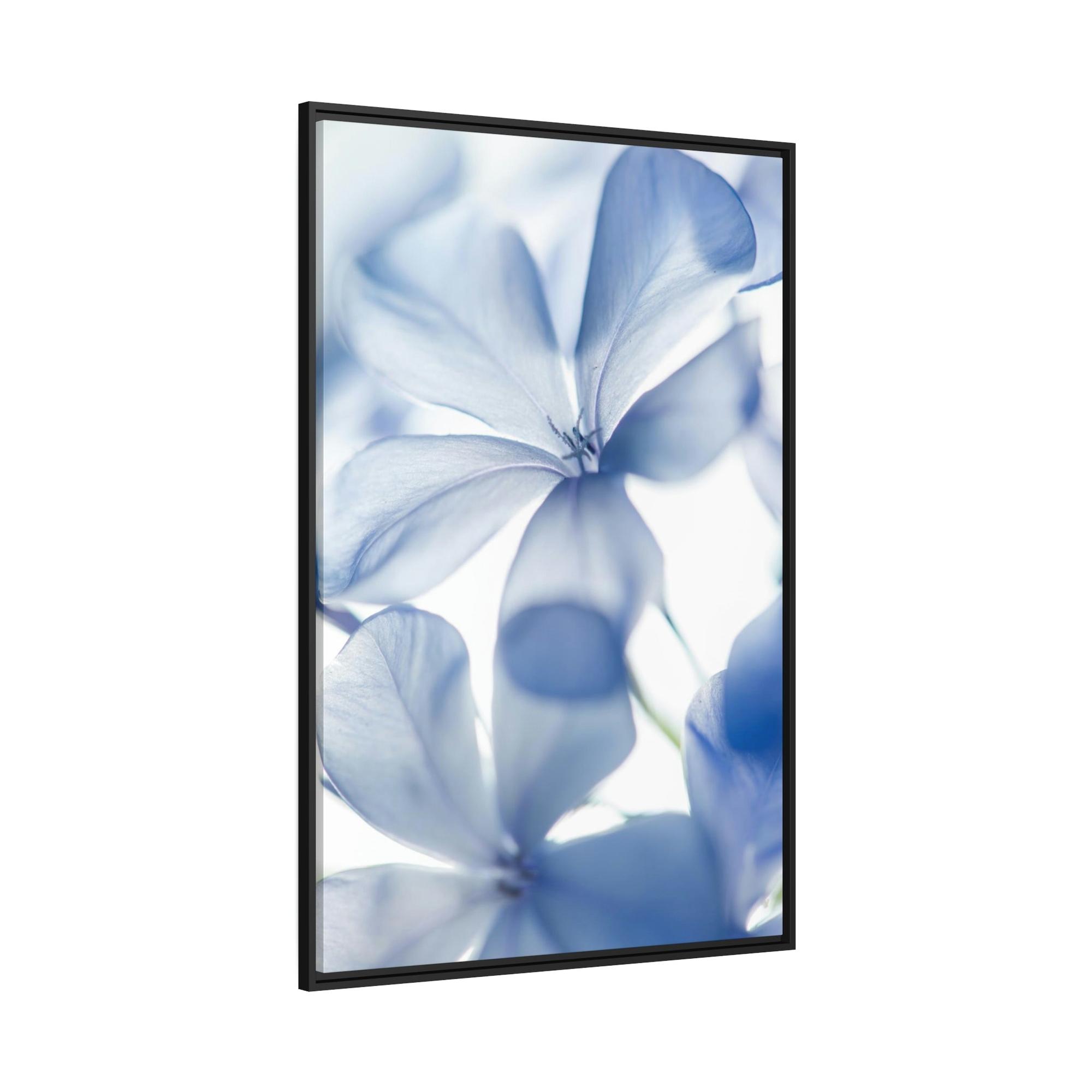 Floral Floral Whispers: Nature's Soft Symphony