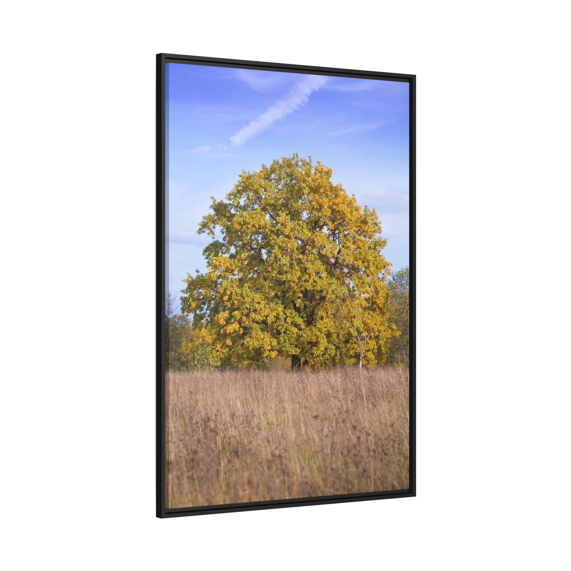 Oak Trees Whispers in the Wind: A Mystical Encounter with the Enchanting Oak Tree