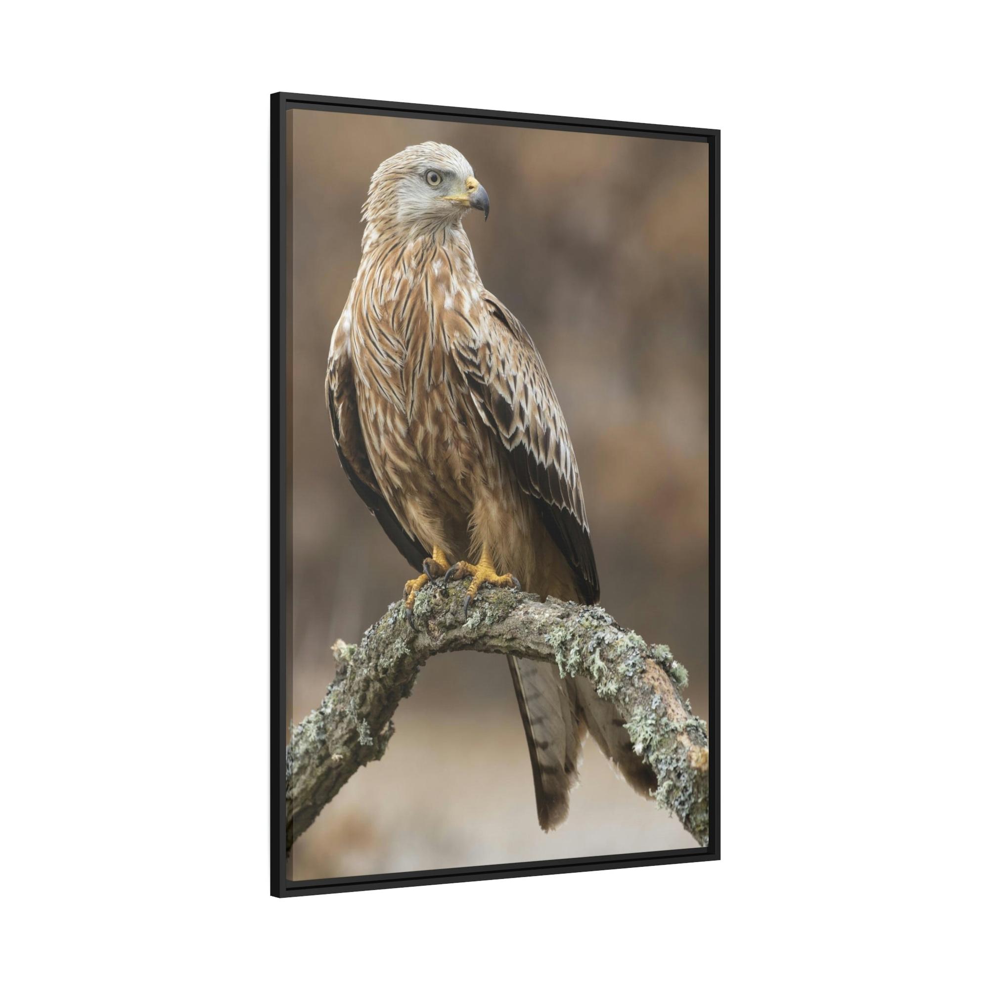 Eagles Wings of Majesty: Poster & Canvas Celebrating the Power of Eagles