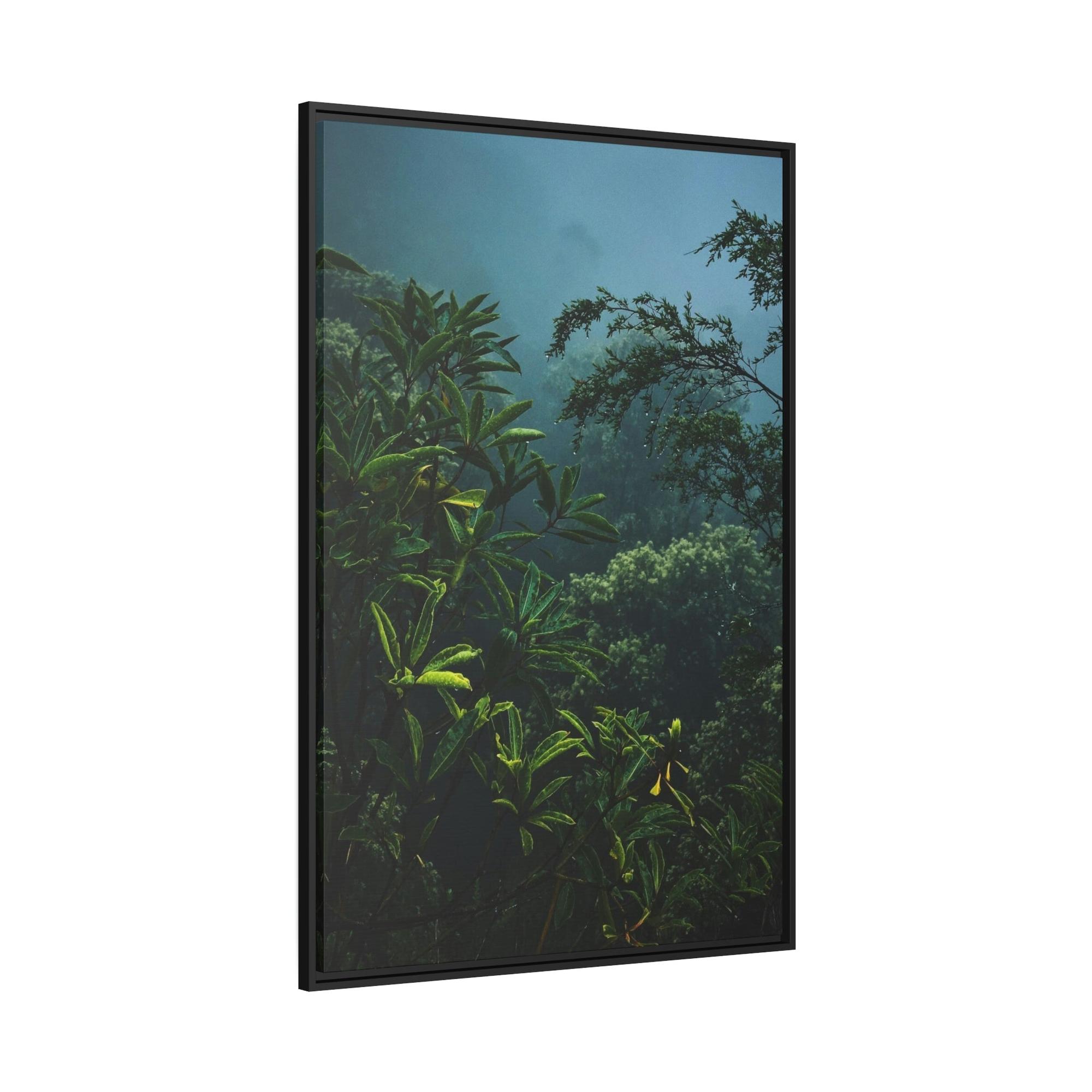 Forests And Jungles Forest and Jungle: A Haven of Tranquility and Serenity