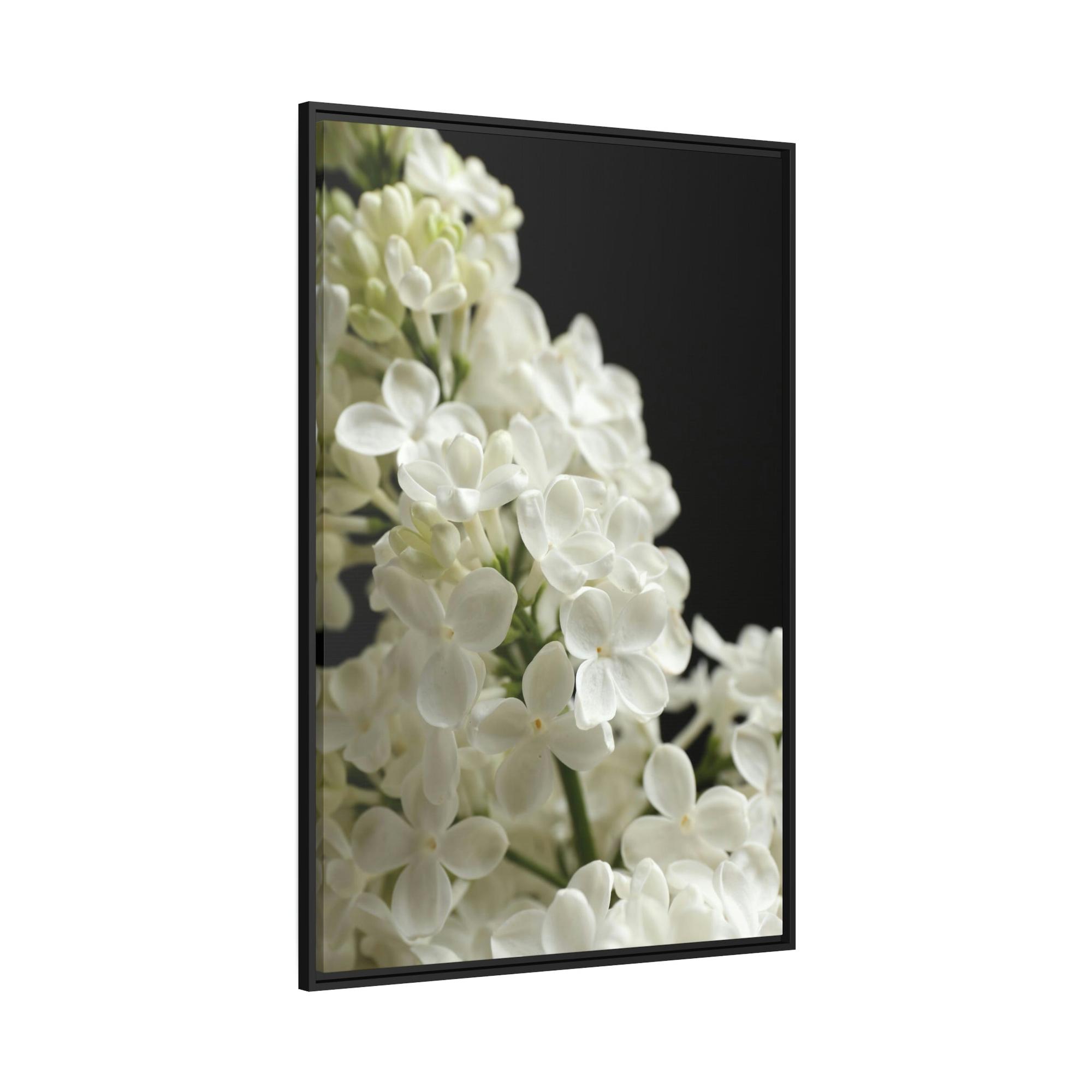 Lilacs The Majestic Lilacs: A Royal Presen