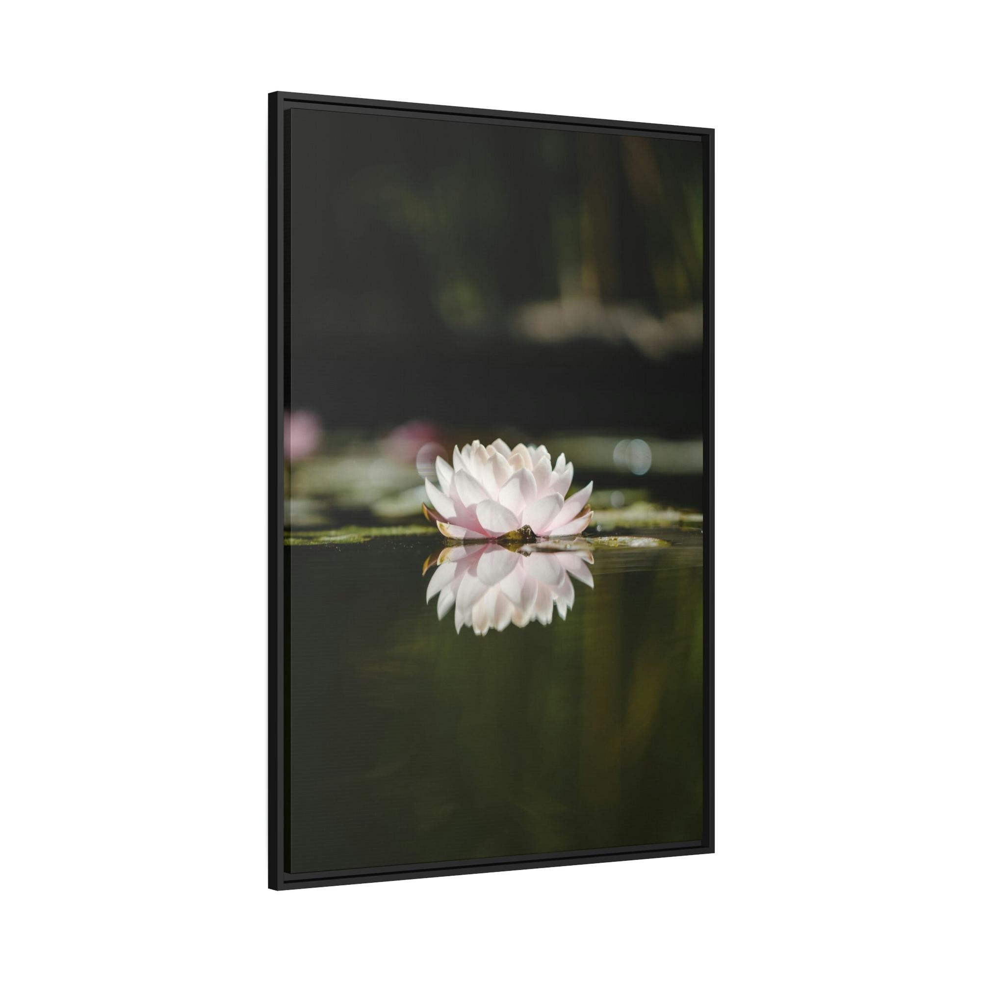Lilies & Waterlily Waterlily Paradise: A Canvas of Natural Tranquility