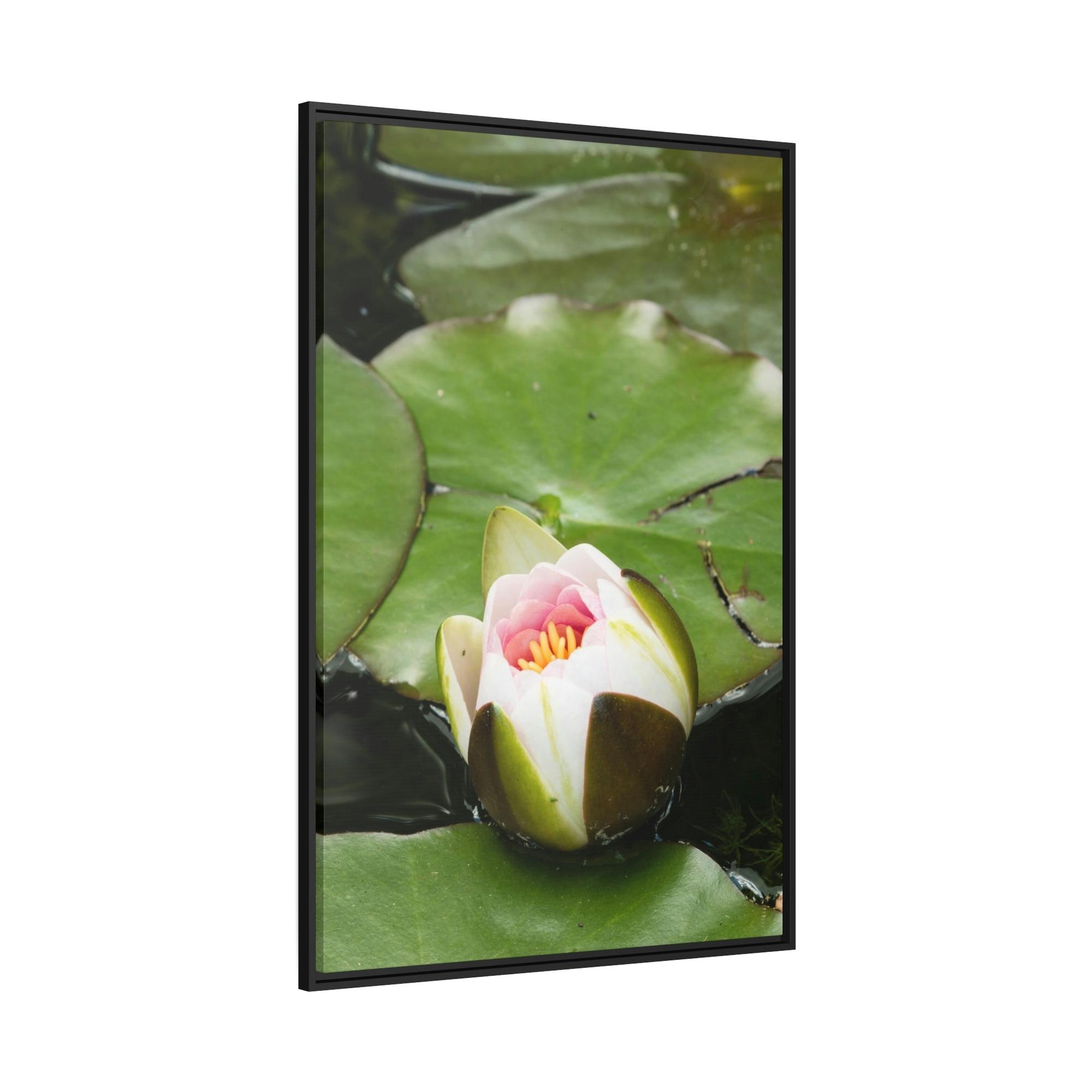 Lilies & Waterlily Serene Reflections: Lilies on Water