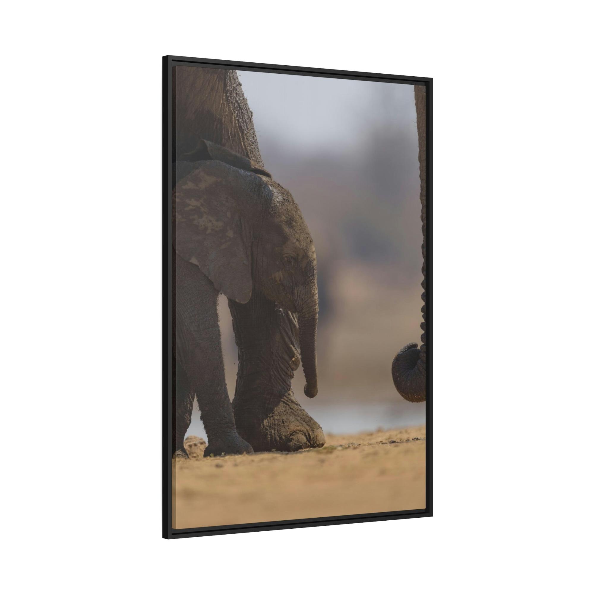 undefined Wildlife Trek: A Journey Through the African Savanna's Most Beautiful Creatures