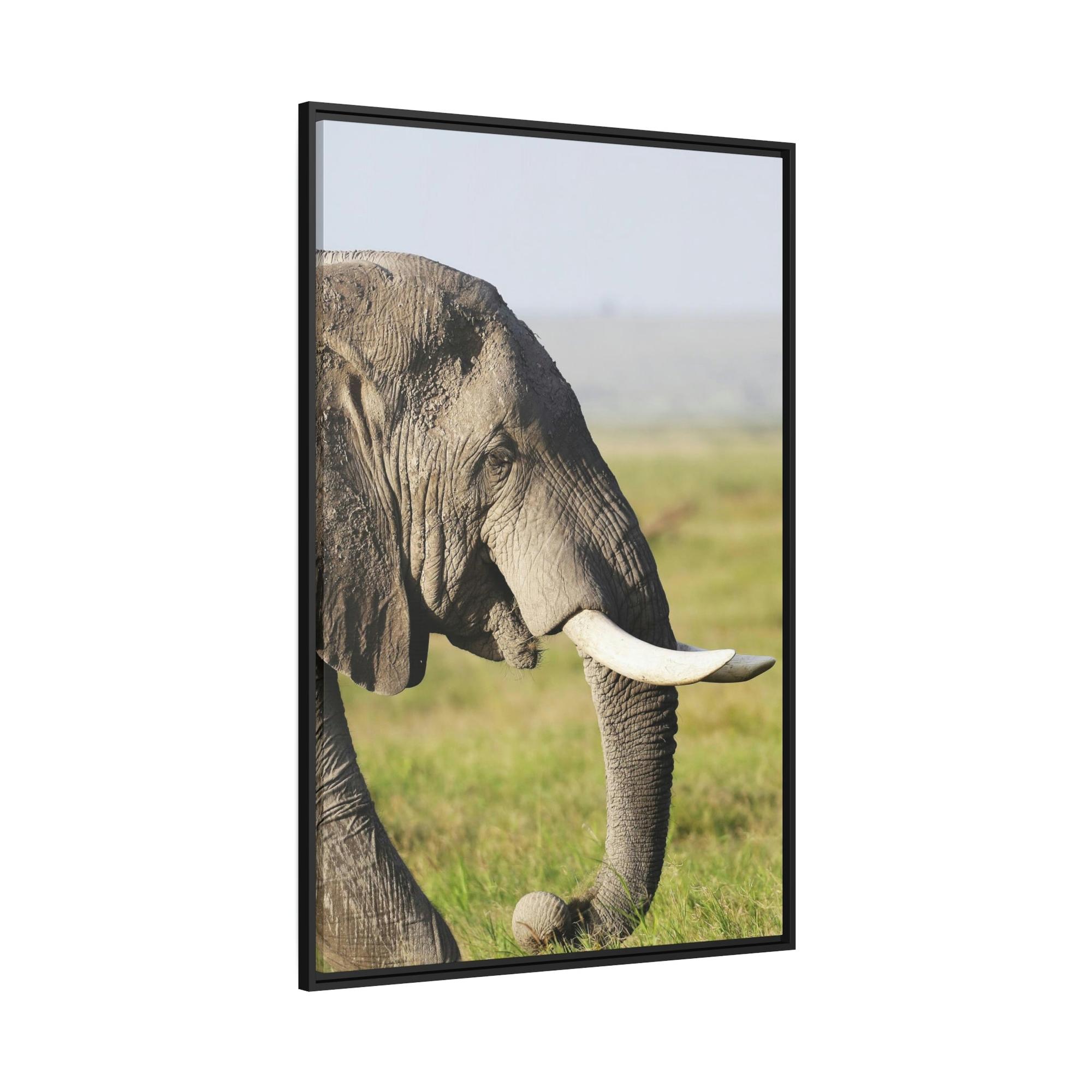 Safari A Walk on the Wild Side: An Up-Close Look at Africa's Most Magnificent Creatures