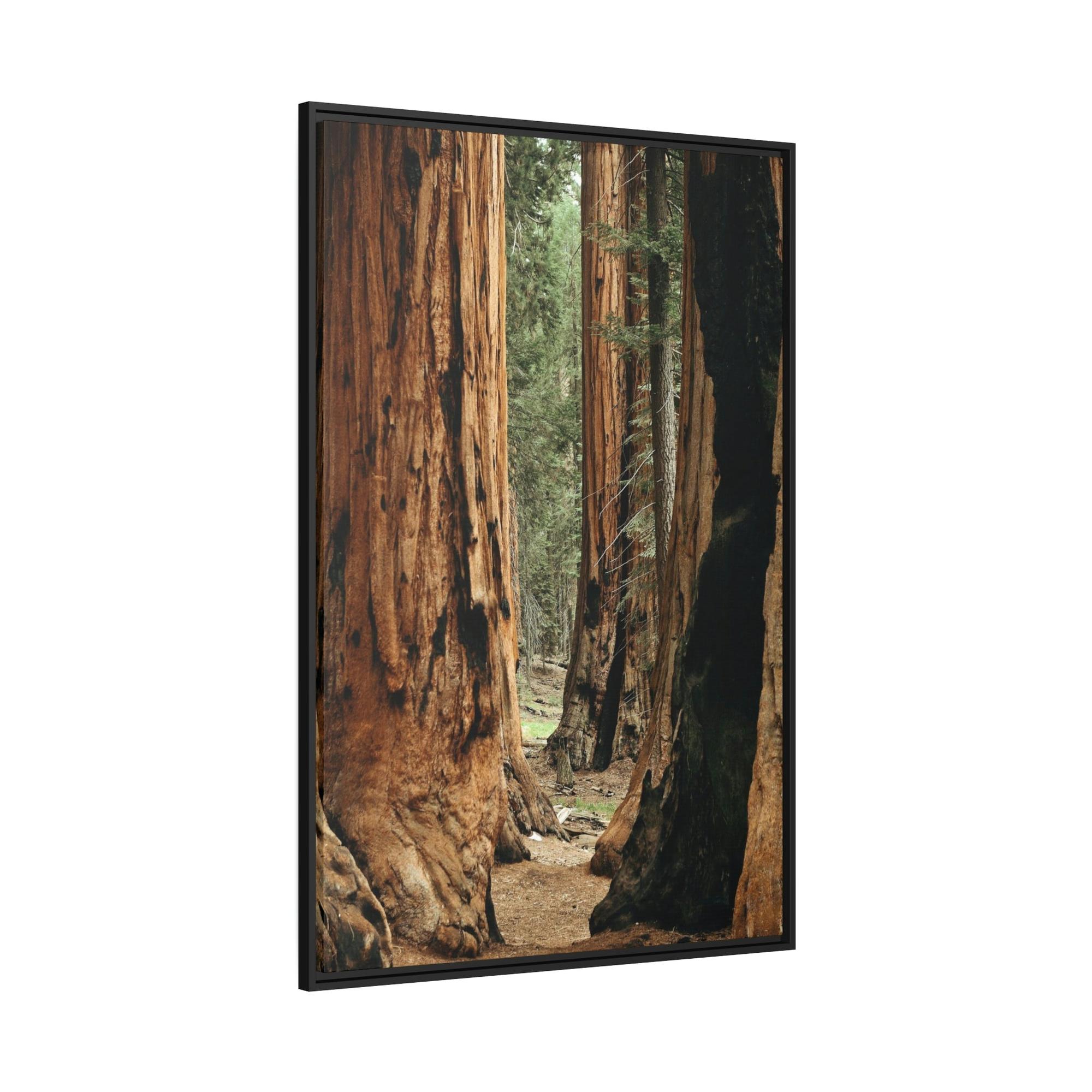 Trees Woodsy Whispers: A Peaceful Journey Through a Forest's Secrets