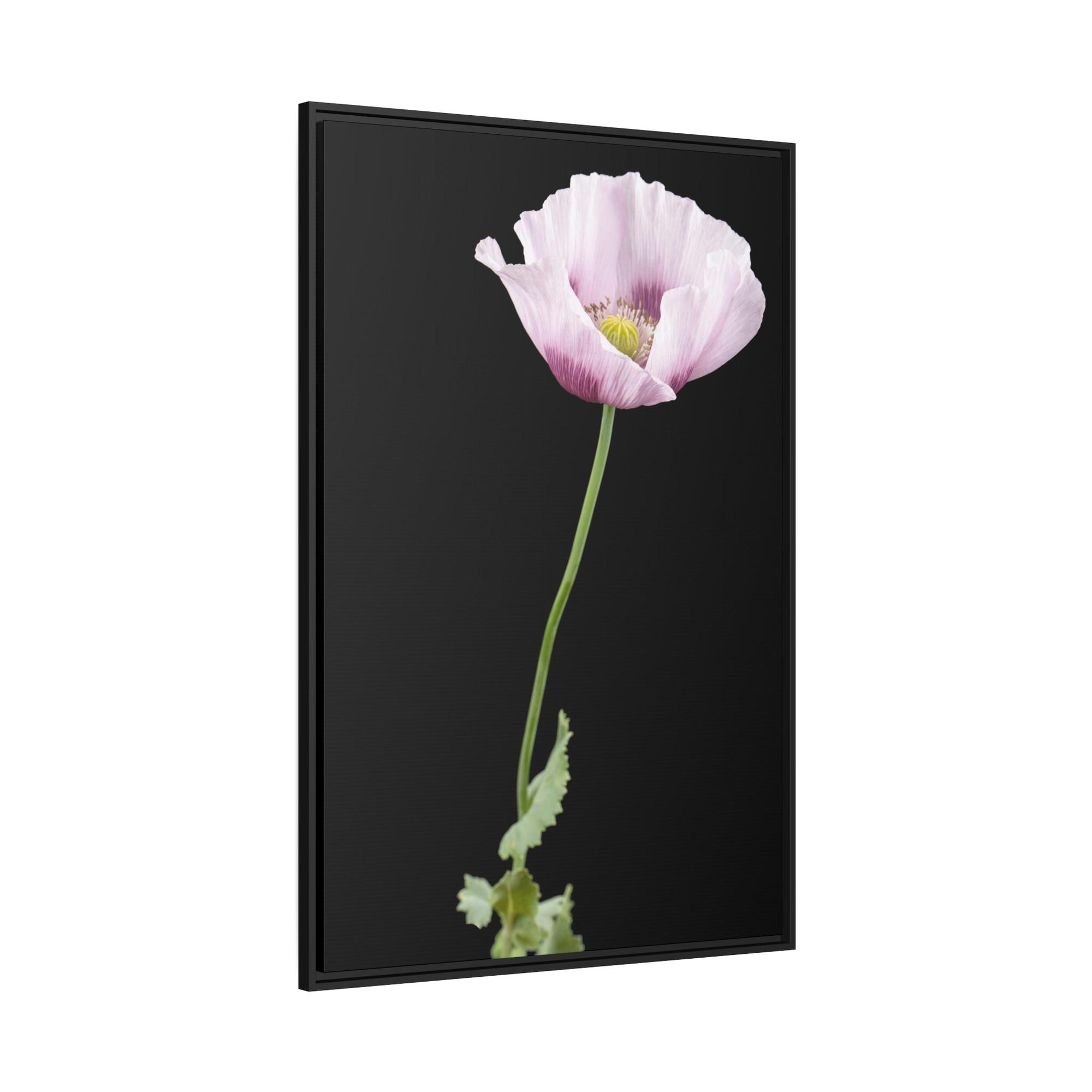 undefined Petals of Passion: A Painting of Poppies as a Symbol of Love