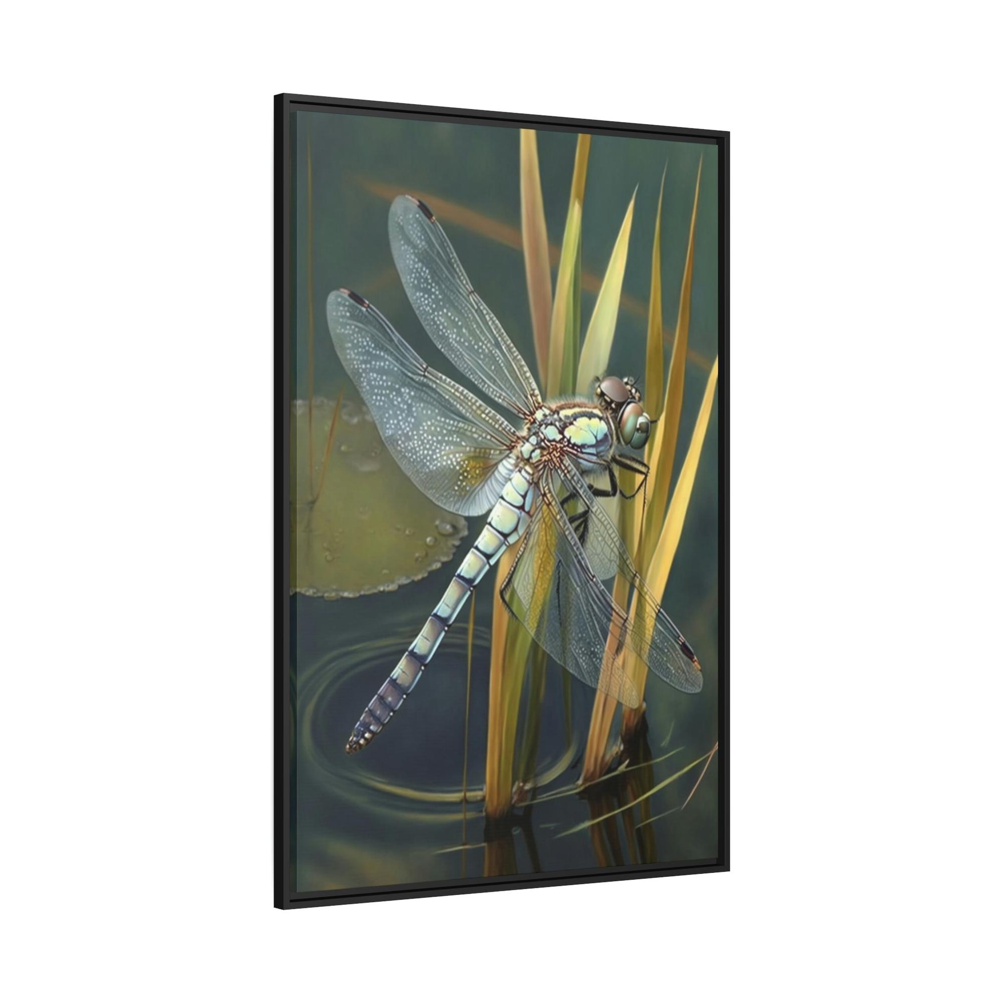 Dragonfly Dragonfly's World: A Framed Poster of These Lovely Insects