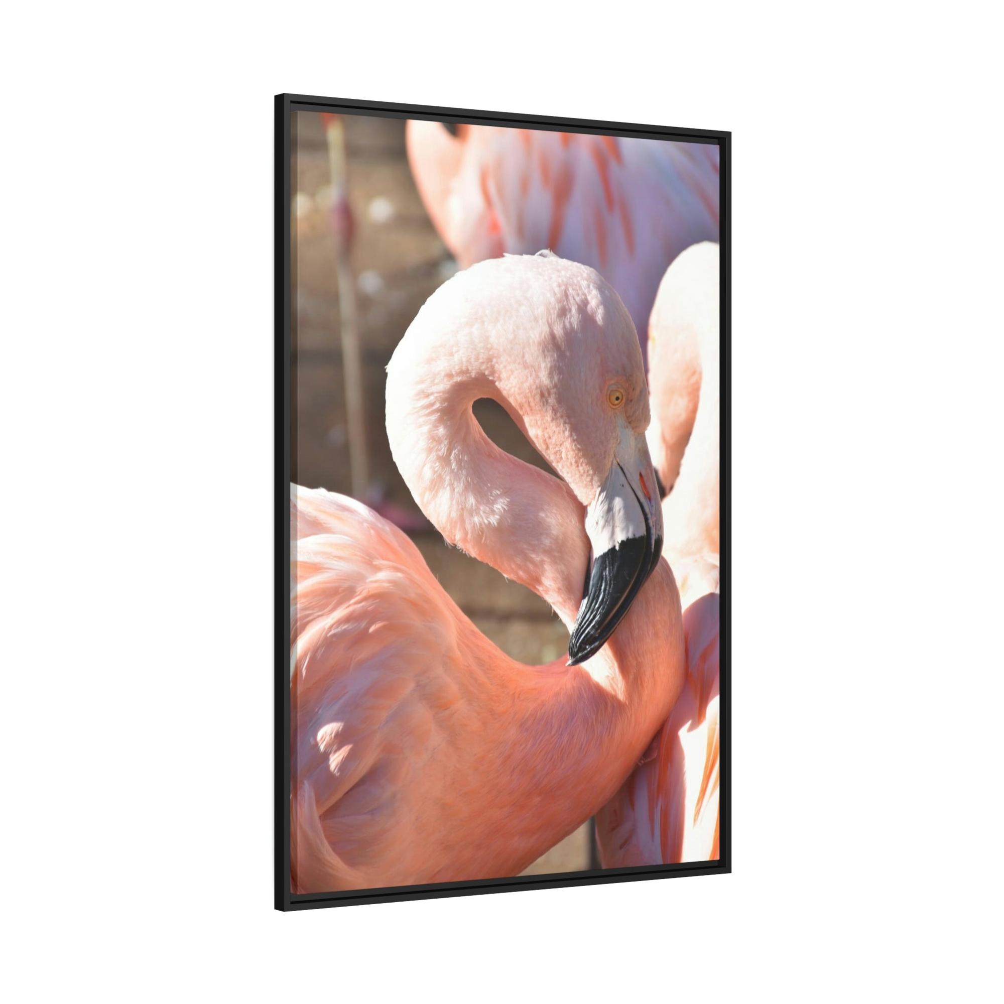 Flamingos Flamingo Reflections: A Canvas of Stillness and Serenity