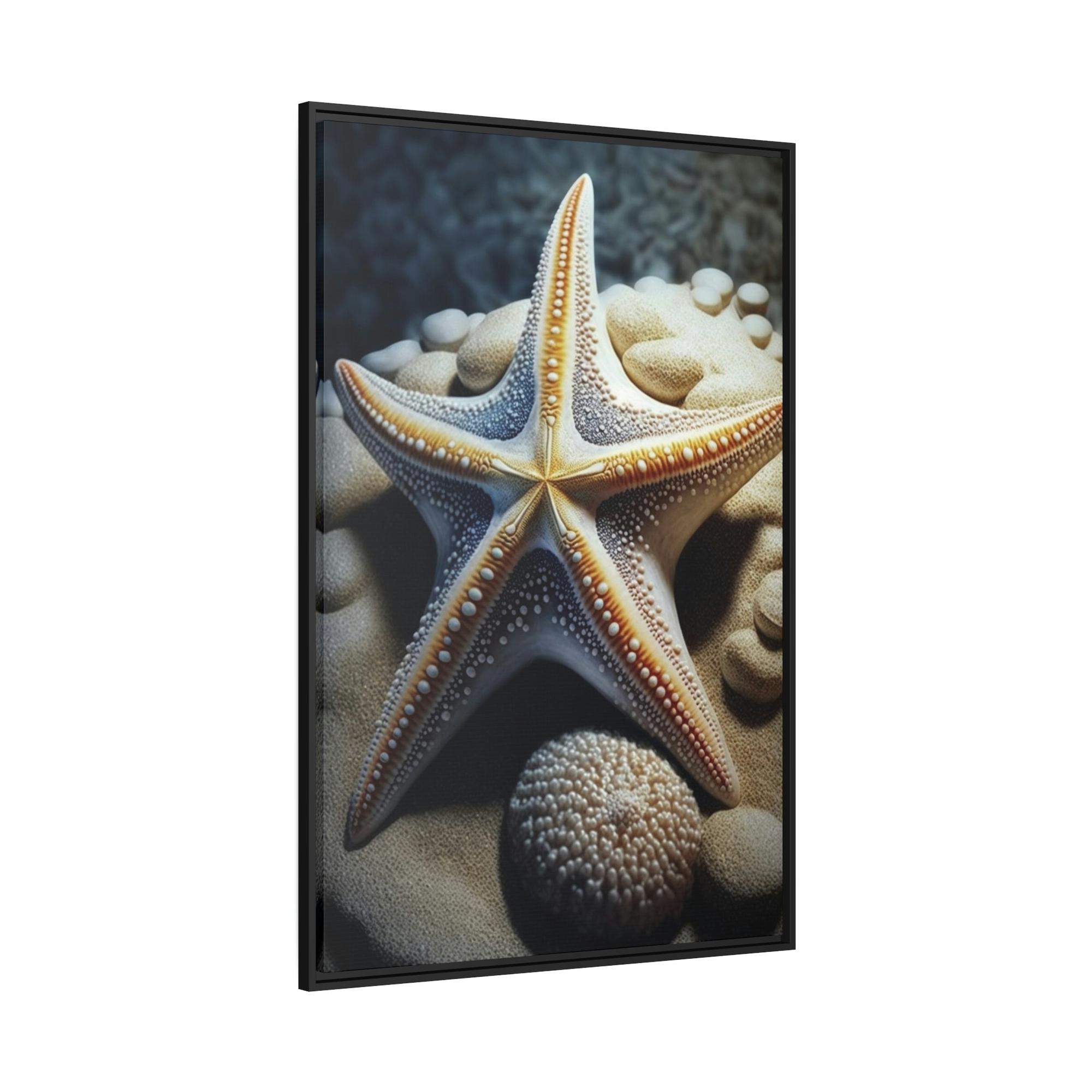 Starfishs Starfish Dreams: A Voyage to the Depths of Imagination