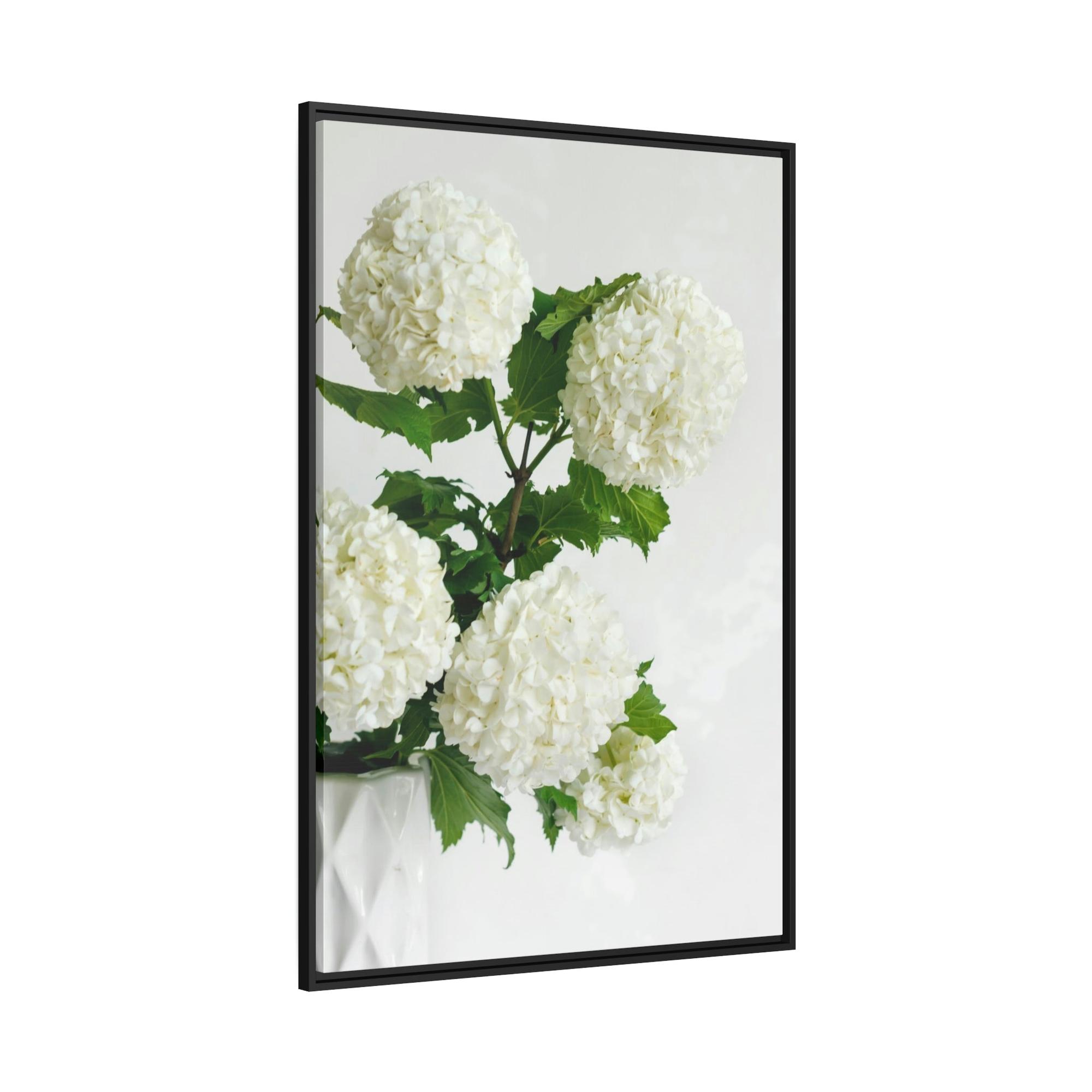 Hydrangeas Hydrangea Serenity: A Peaceful Haven