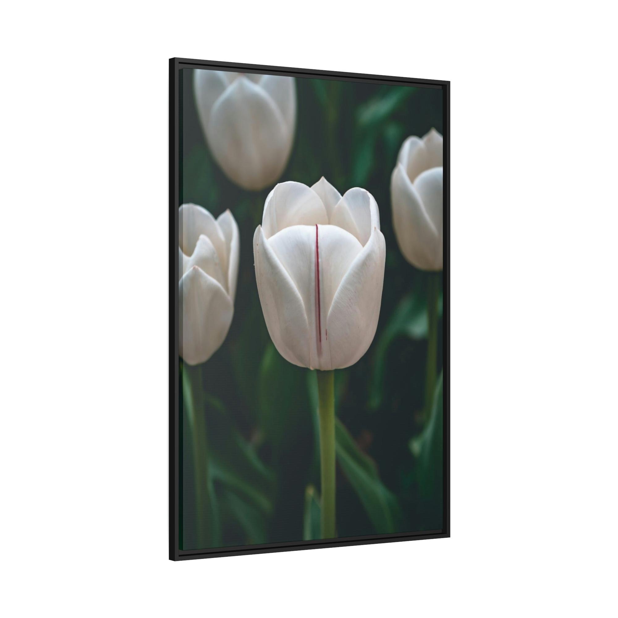 Tulips Blooming Tulips: A Springtime Bouquet