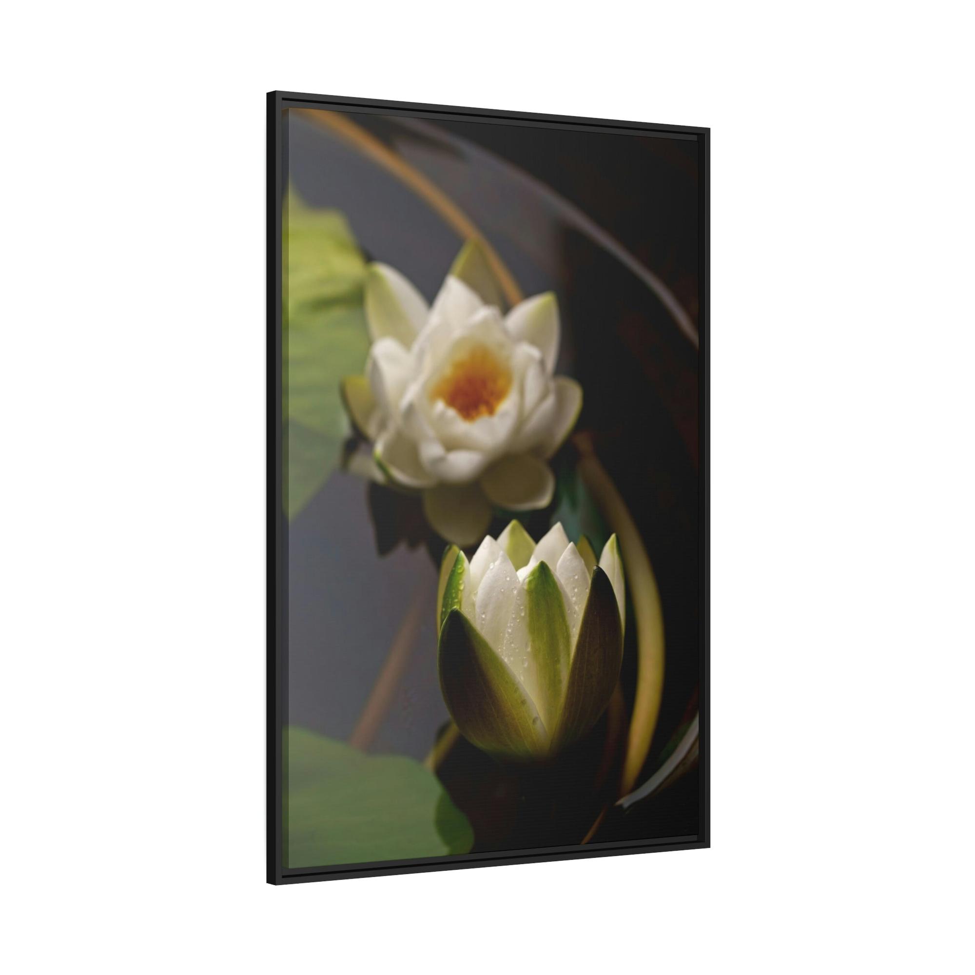 Lotuses Lotus Garden: Elegant Framed Poster and Print on Canvas