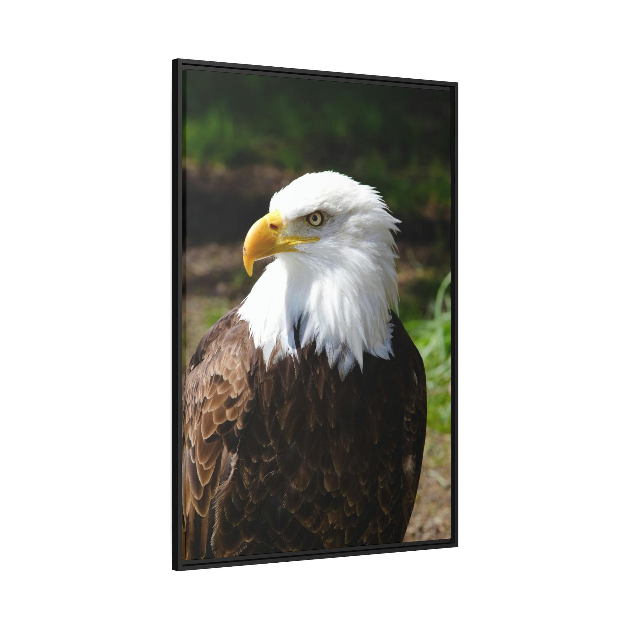 Eagles Eagles in the Wild: Canvas Wall Art Celebrating these Noble Creatures