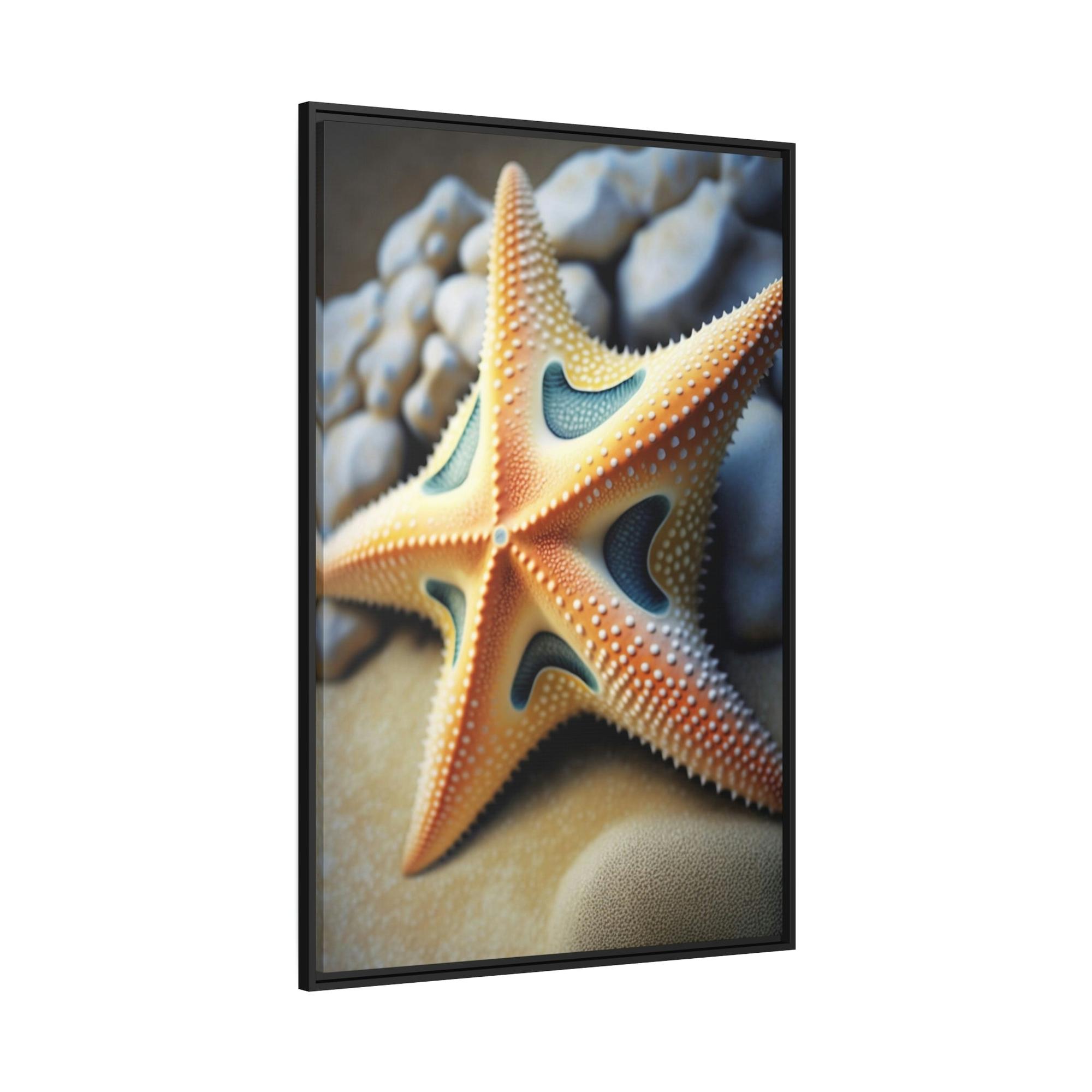 Starfishs Echoes of the Ocean: Starfish Symphony