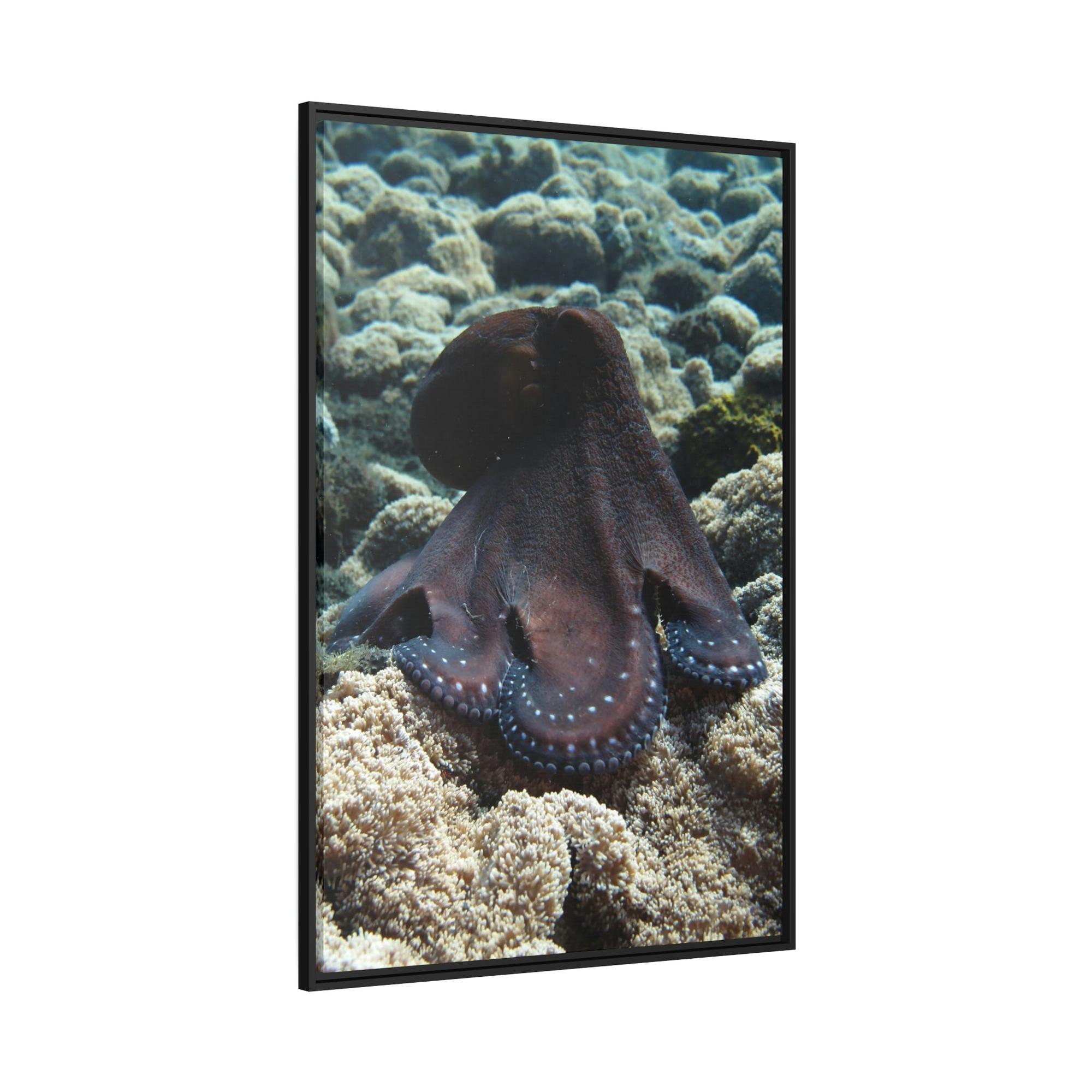 Octopuses The Enchantment of Octopuses: A Mysterious and Captivating Painting on Canvas