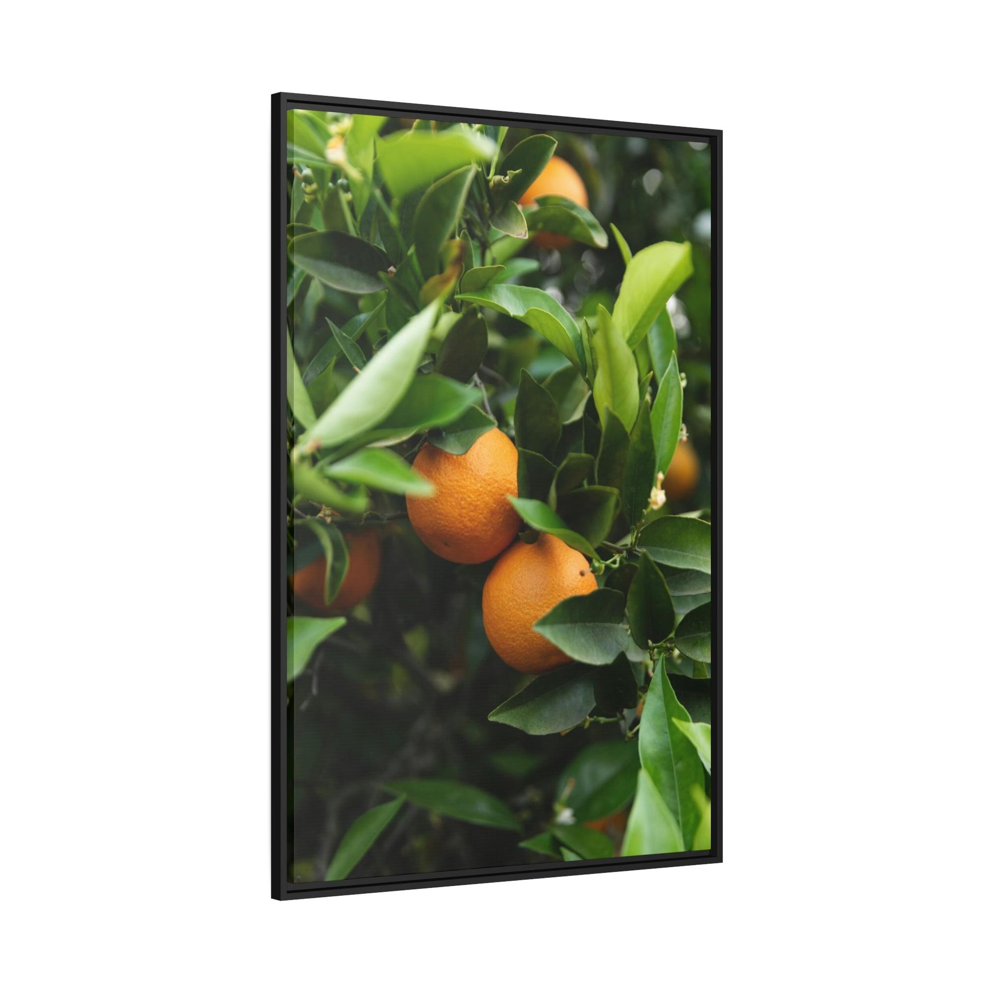 Fruit Trees Vivid Orchard: Fruit Trees Canvas Wall Decor