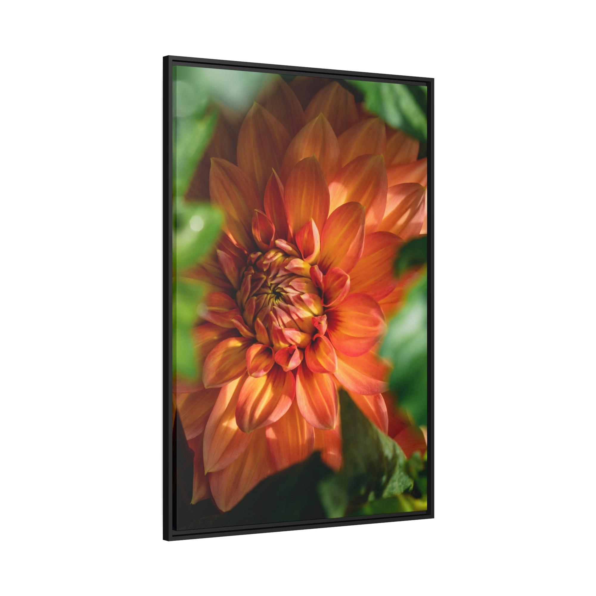 Dahlias The Majesty of Dahlias: A Wall Art Print of These Gorgeous Blooms