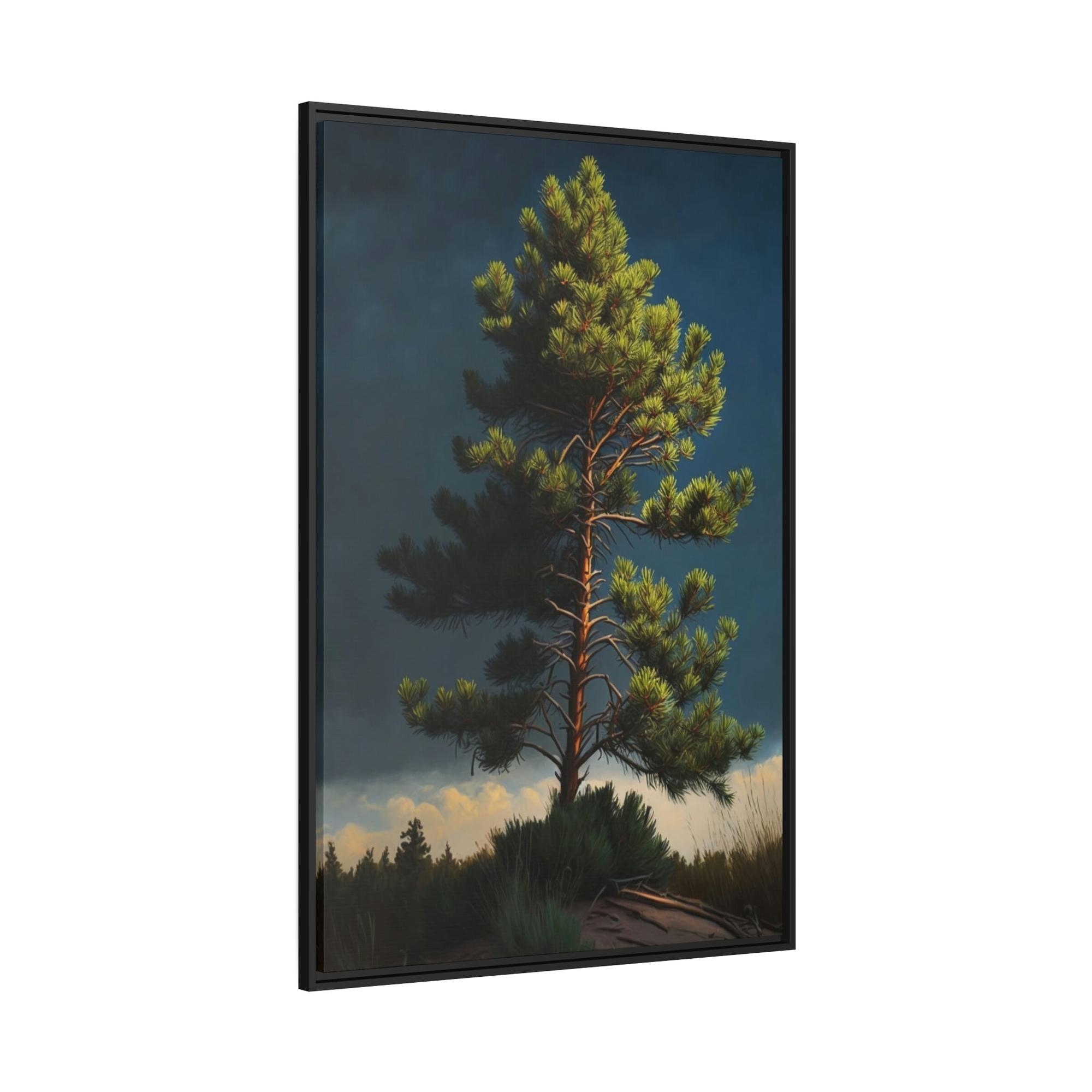 Pine Trees Pine Tree Sanctuary: A Canvas of Peace and Solitude