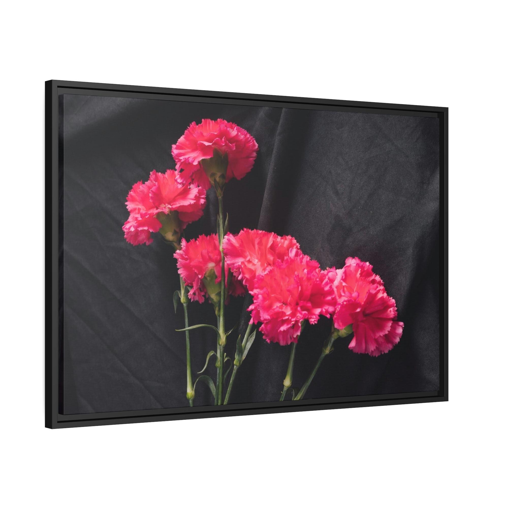 Carnations Beautiful Blooms: Natural Canvas and Art Prints of Carnations