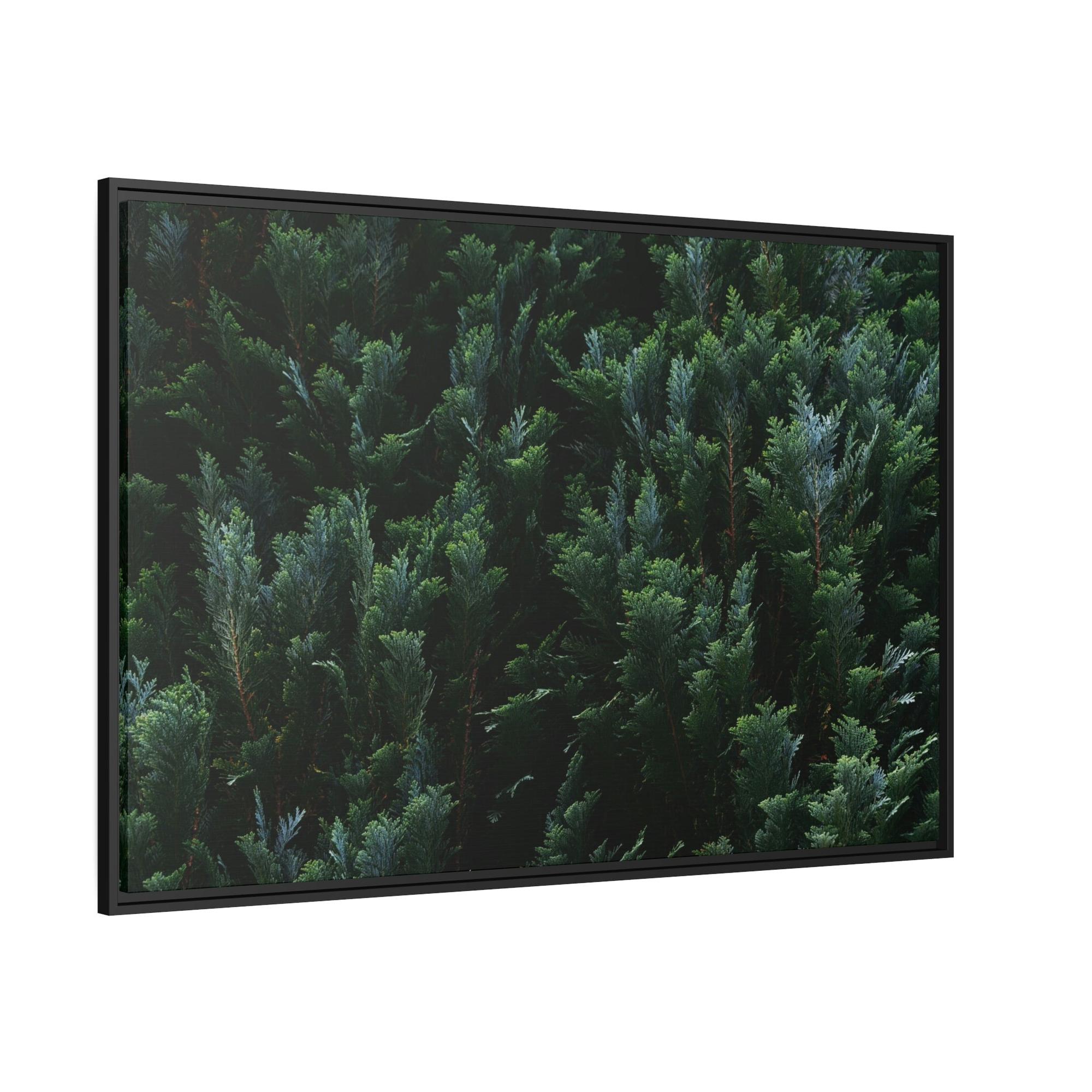 Cypress Tree Cypress Trees and the Eternal Serenity of Nature: A Vision of Peace and Calm