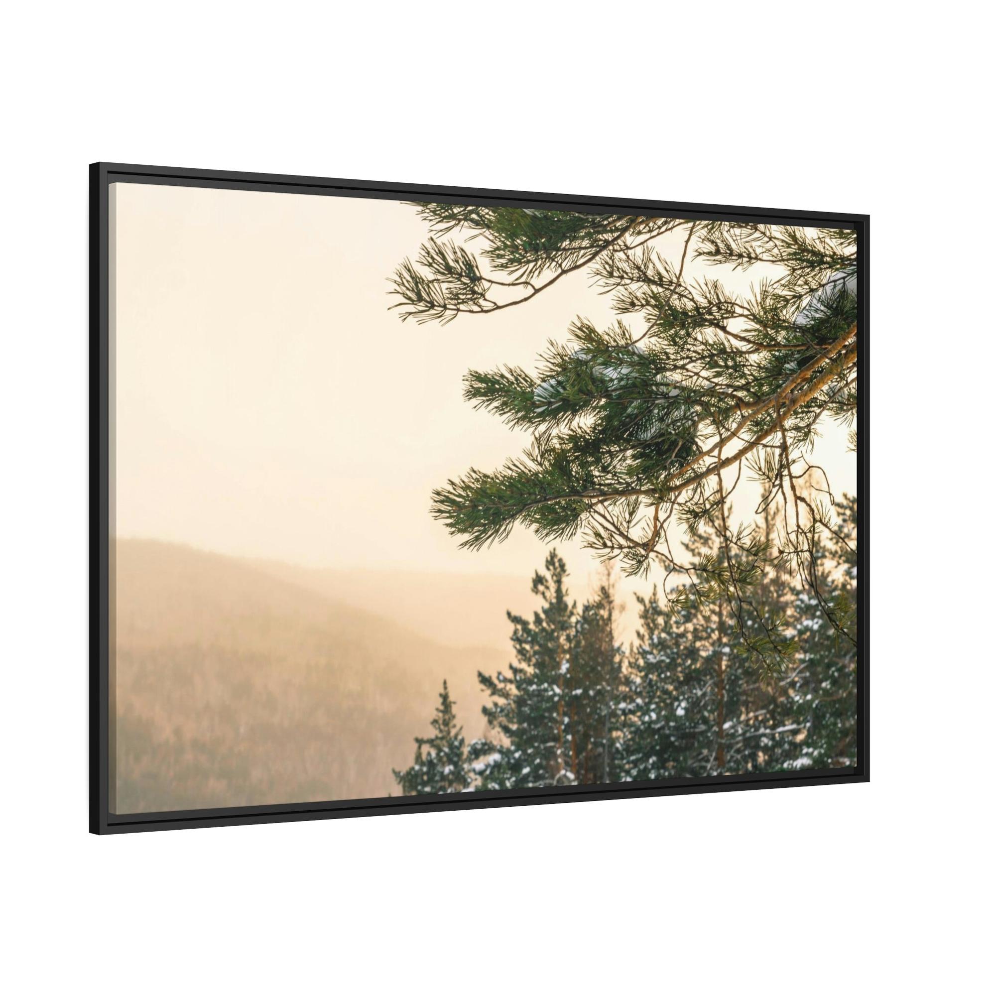 Pine Trees Nature's Pillars: A Canvas of Pine Trees
