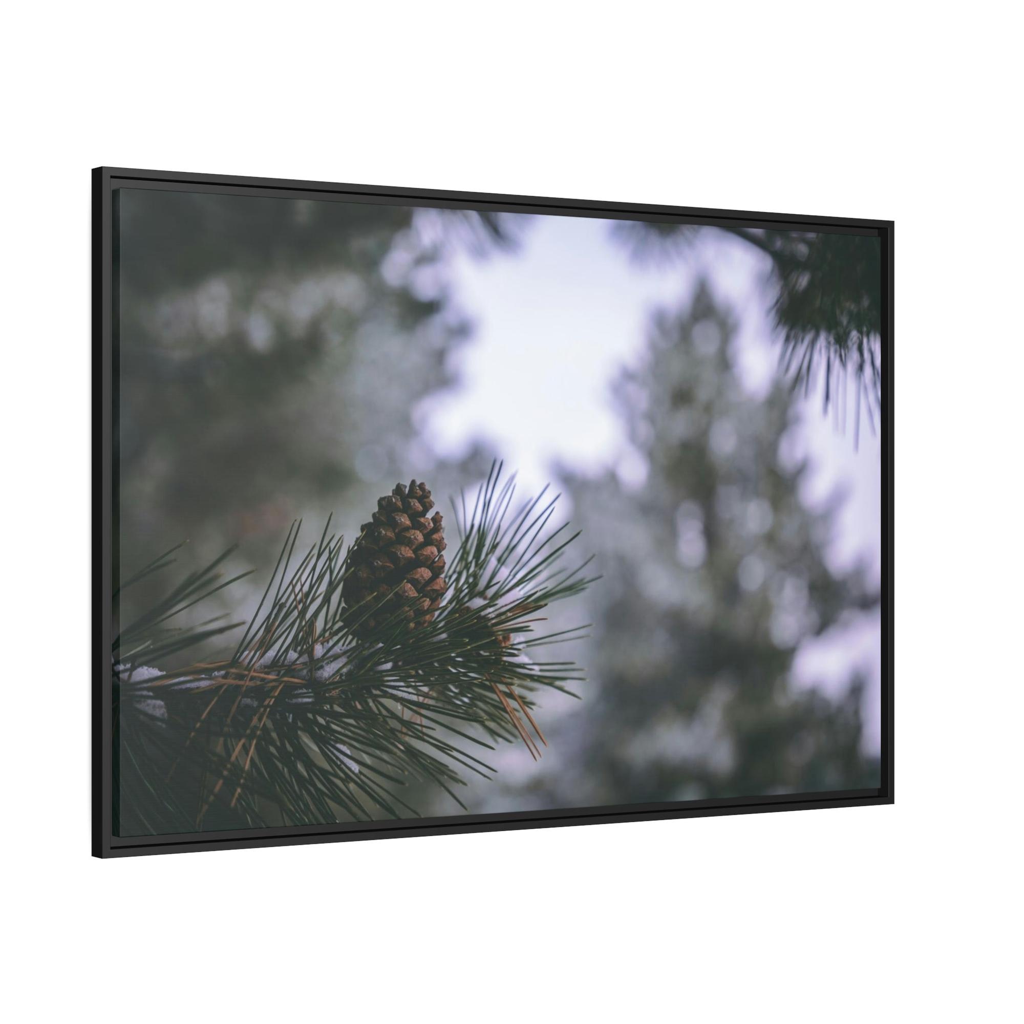 Pine Trees Pine Tree Forest: A Canvas of Verdant Growth and Wild Beauty