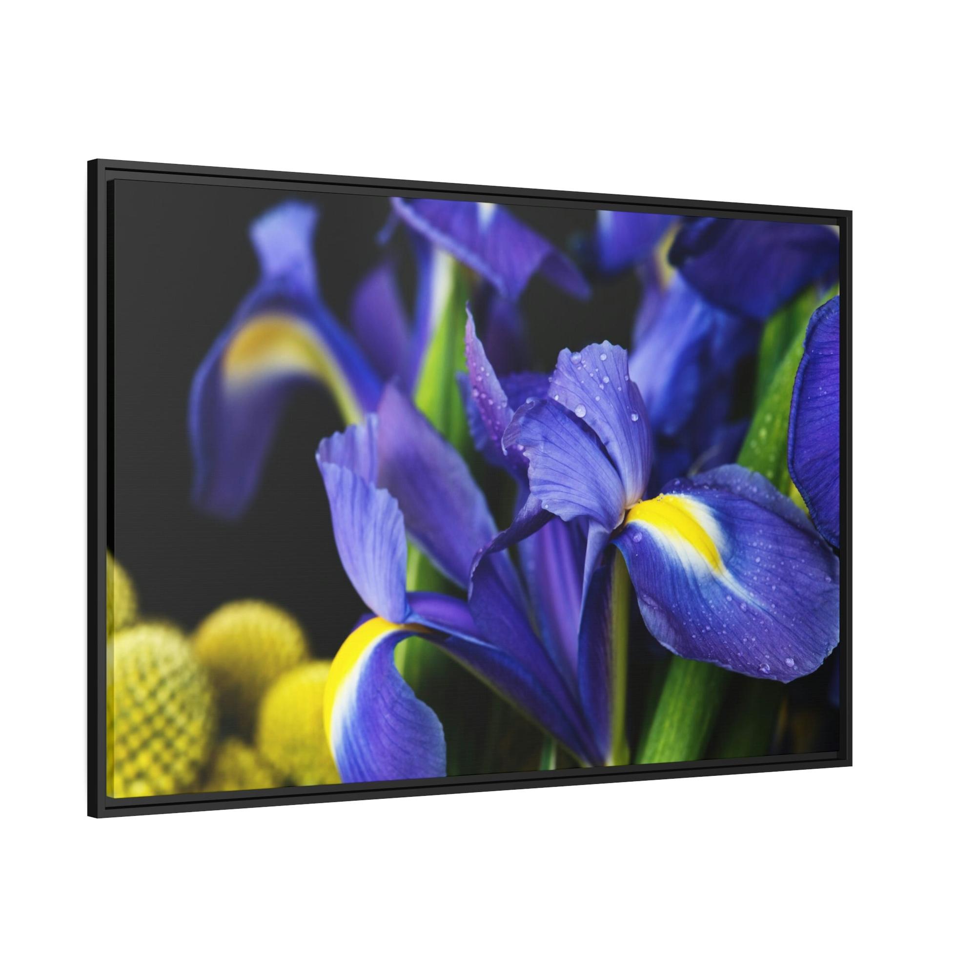 Irises Iris Dreams: A Canvas of Purple and Blue Hues