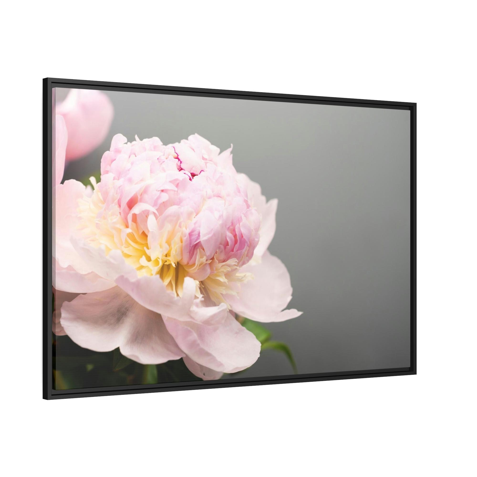 Peonies Peony Purity: A Bouquet of White