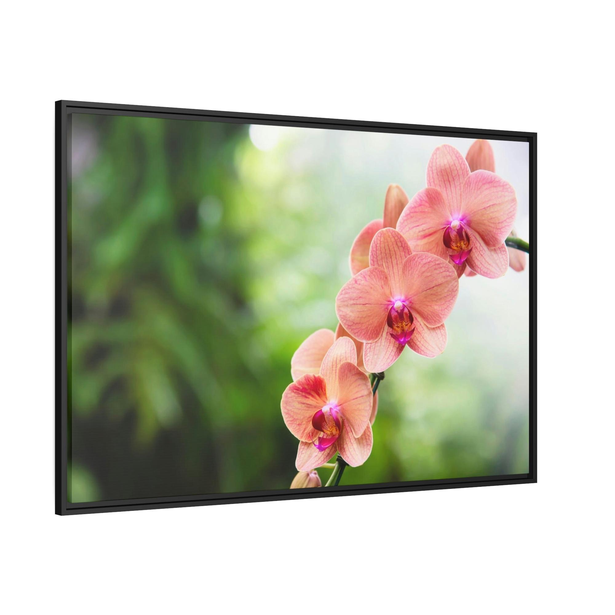 Orchids Whispers of Orchids: A Soft Canvas Touch