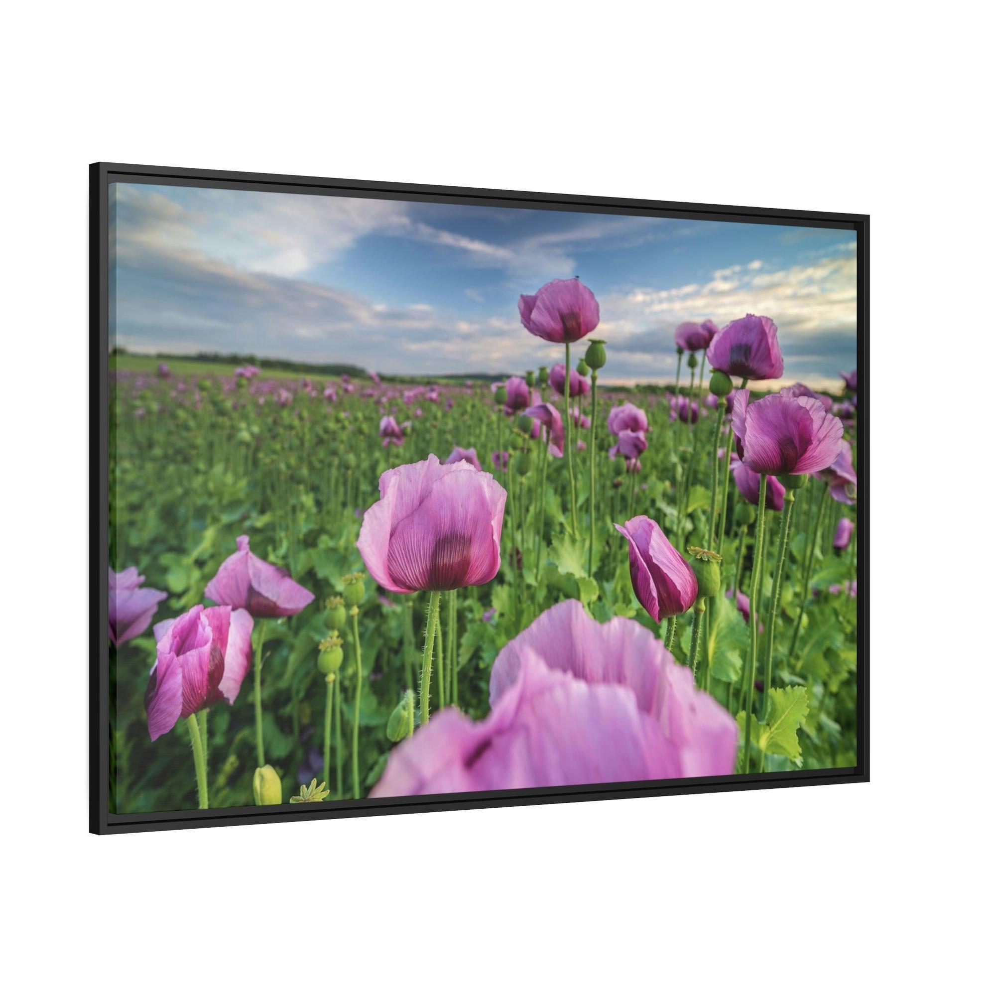 undefined Poppy Perfection: A Painting of Poppies as a Symbol of Perfection