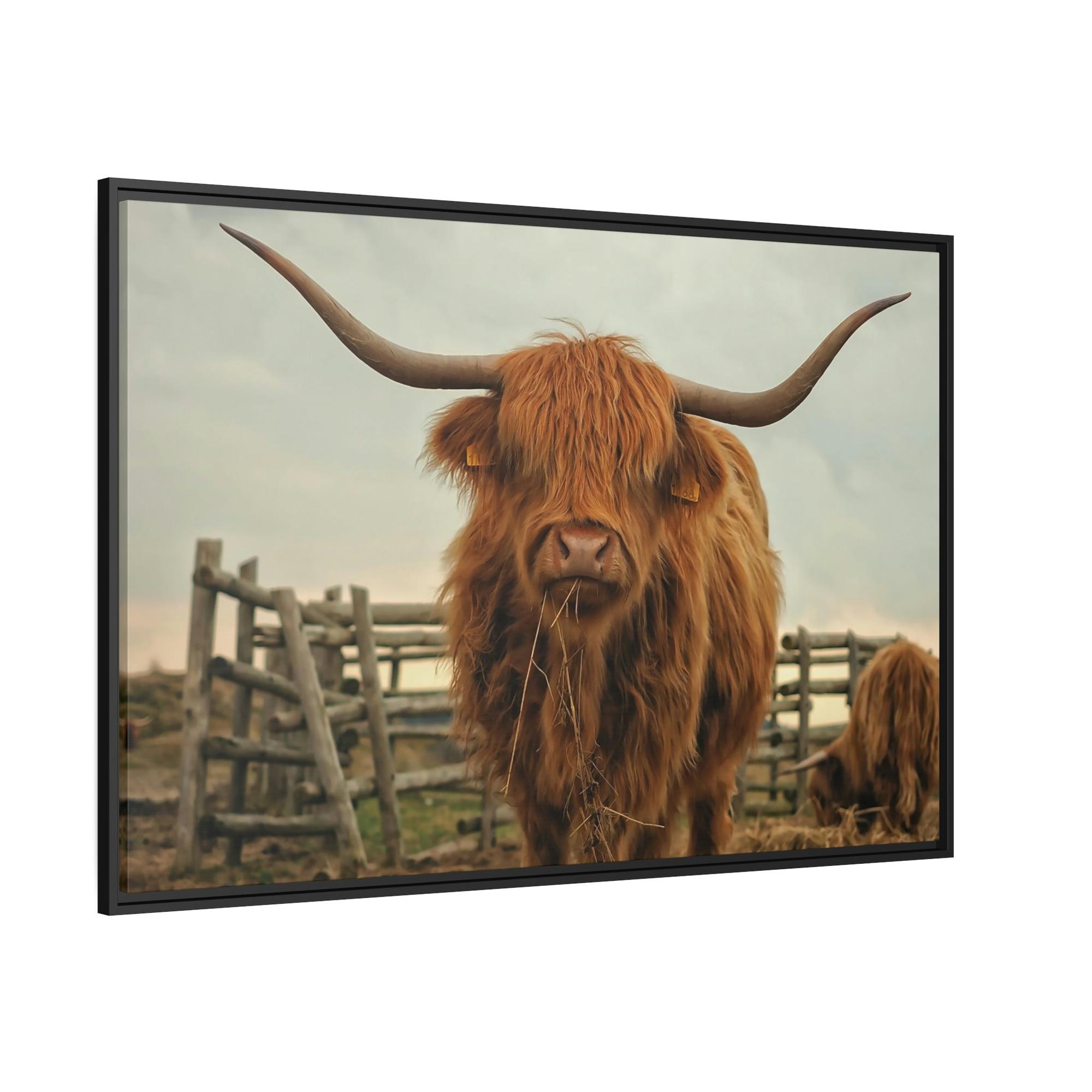 Highland Cow Highland Cow | Brown Horned Cow | Wall Art — Pixoram
