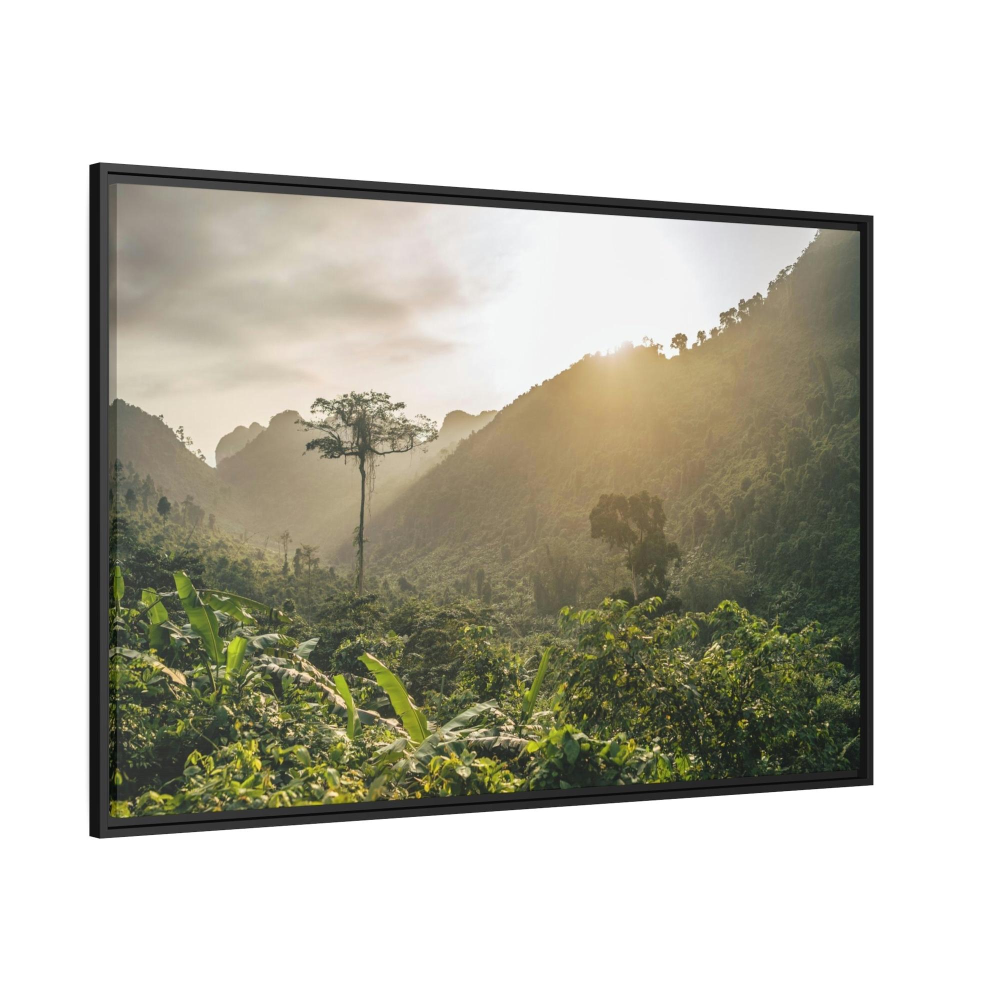 Forests And Jungles A Journey Through Forests and Jungles: A Glimpse into the Heart of Nature