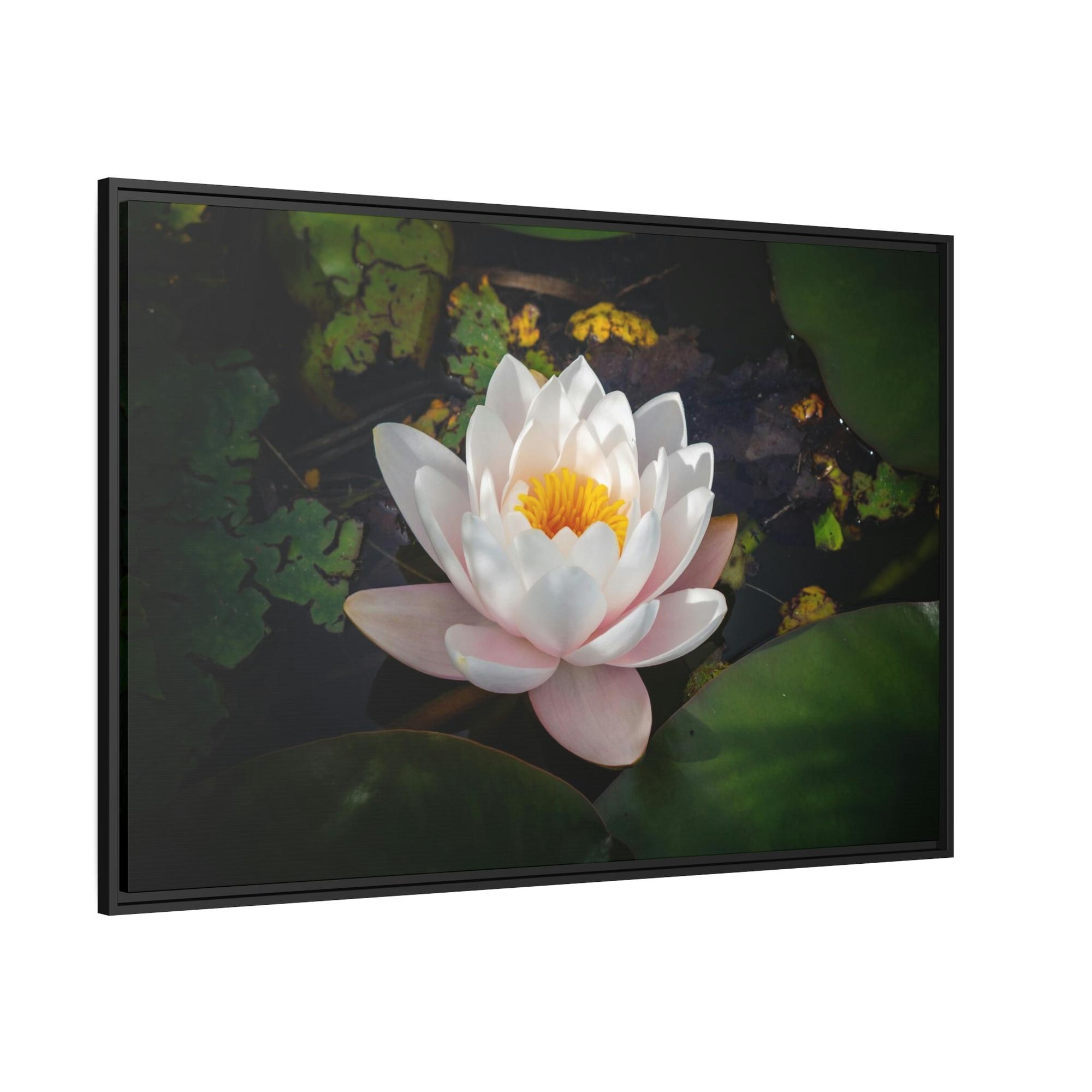 Lilies & Waterlily Tranquil Waters: A Canvas Depiction of Lilies Afloat