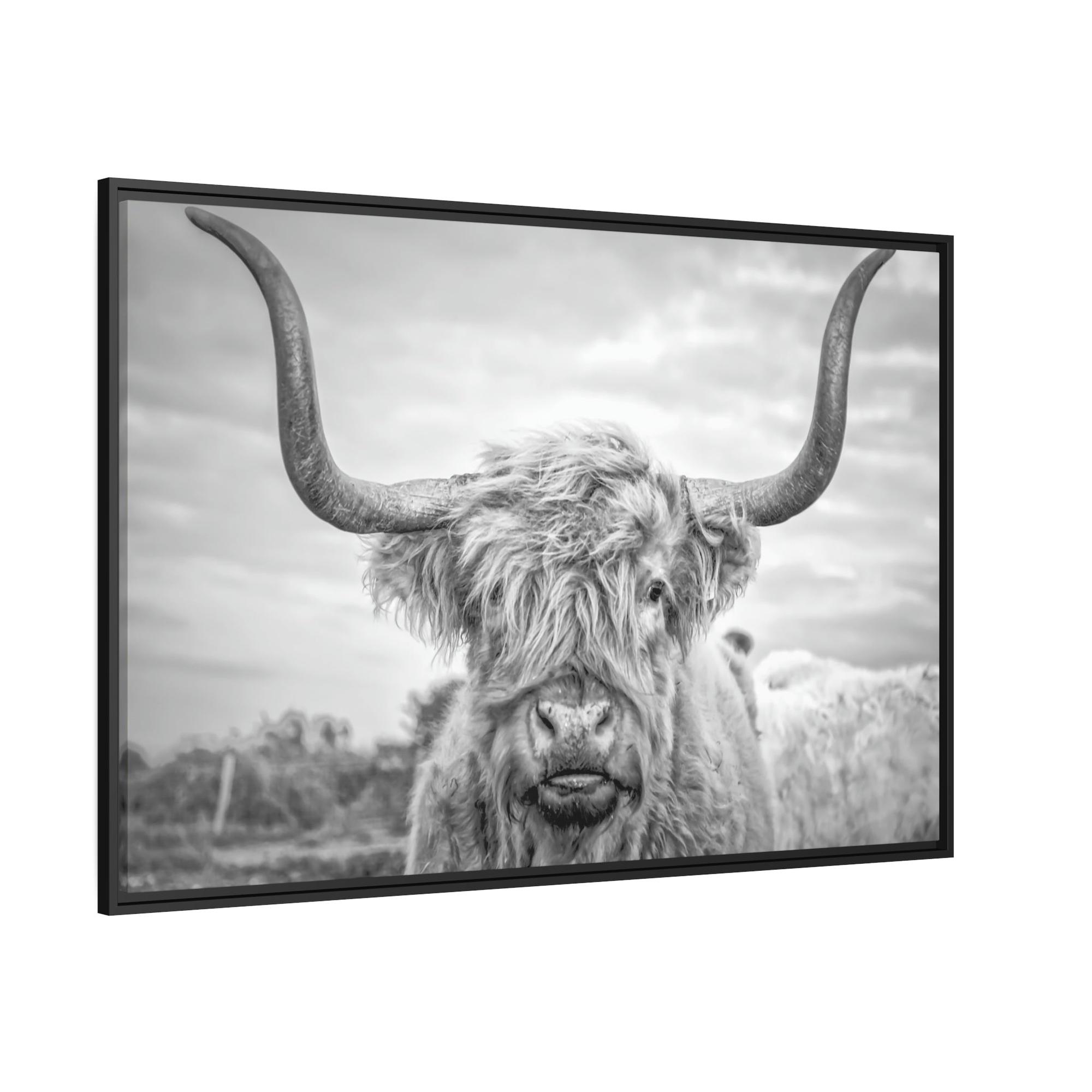 Highland Cow Highland Cow Canvas Print | Black-White Colors | Horned Cattle Wall Art — Pixoram