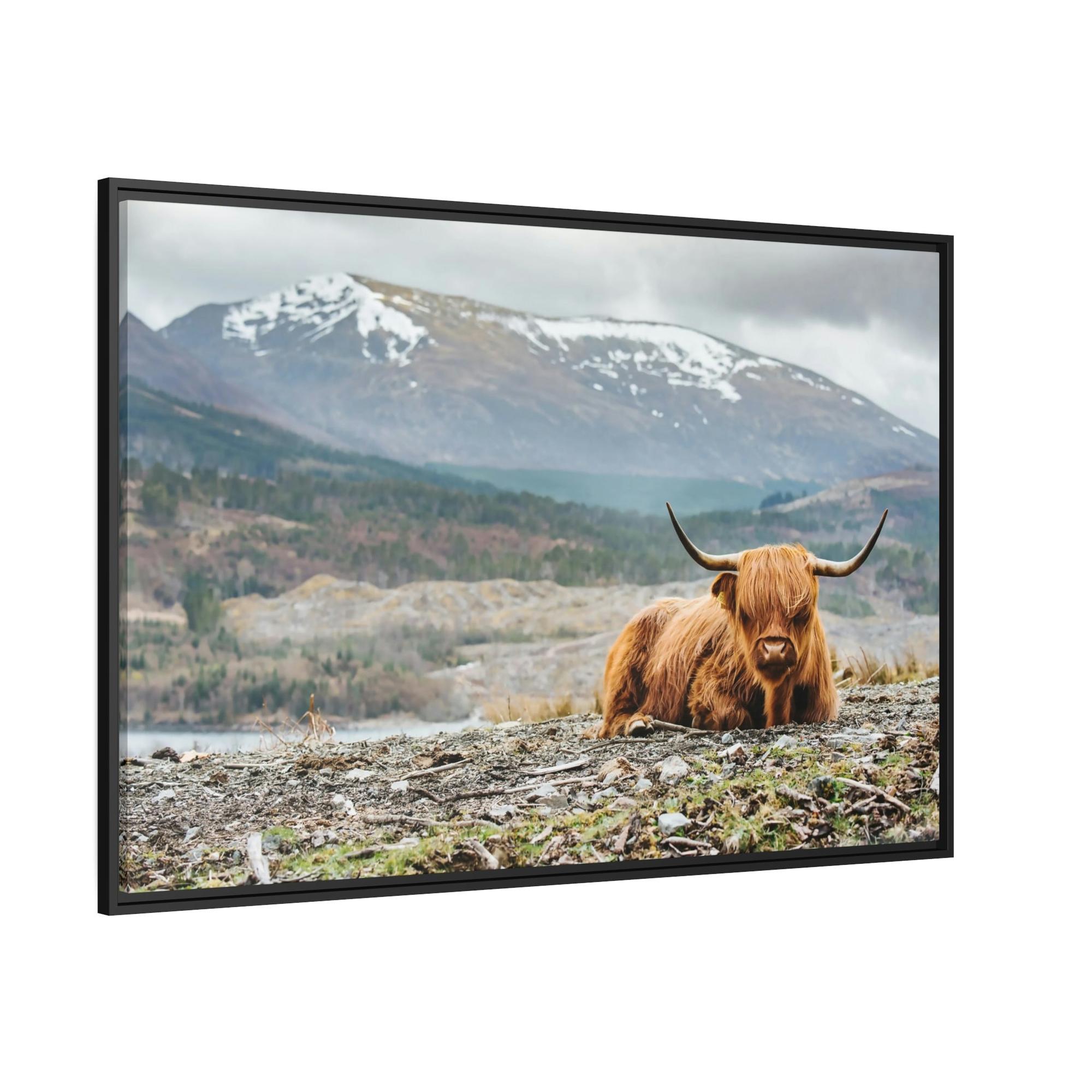 Highland Cow Highland Cow | Furry Cow in the Mountains | Art Canvas — Pixoram