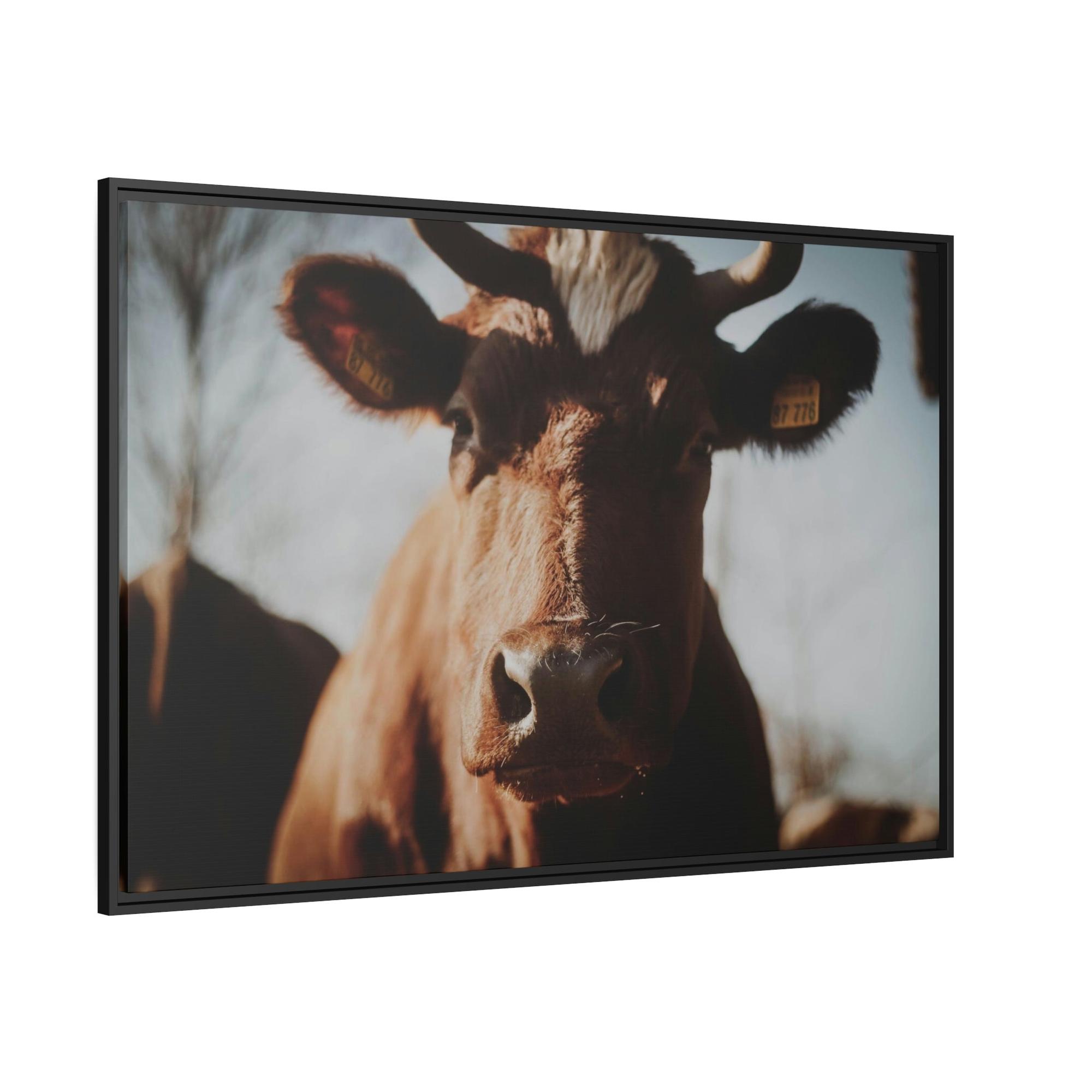 Cows Cow Dreams: Poster & Canvas Print and Wall Art of Whimsical Cow