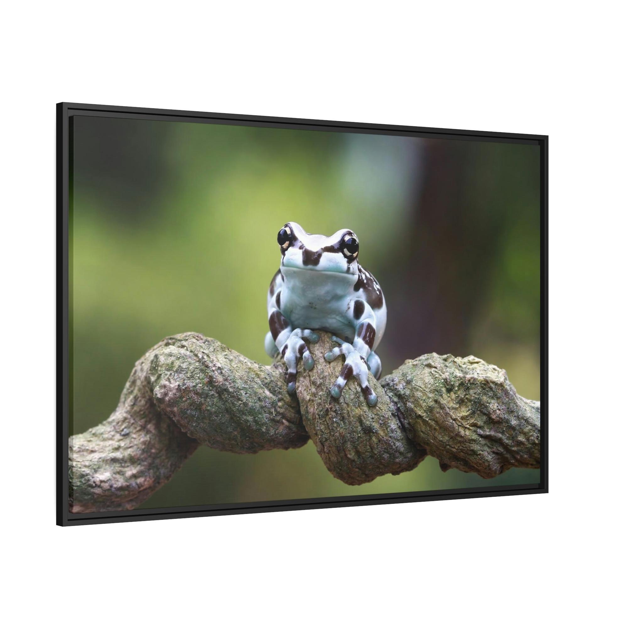 undefined The Magic of Frogs: A Mystical Journey Through Nature's Realm