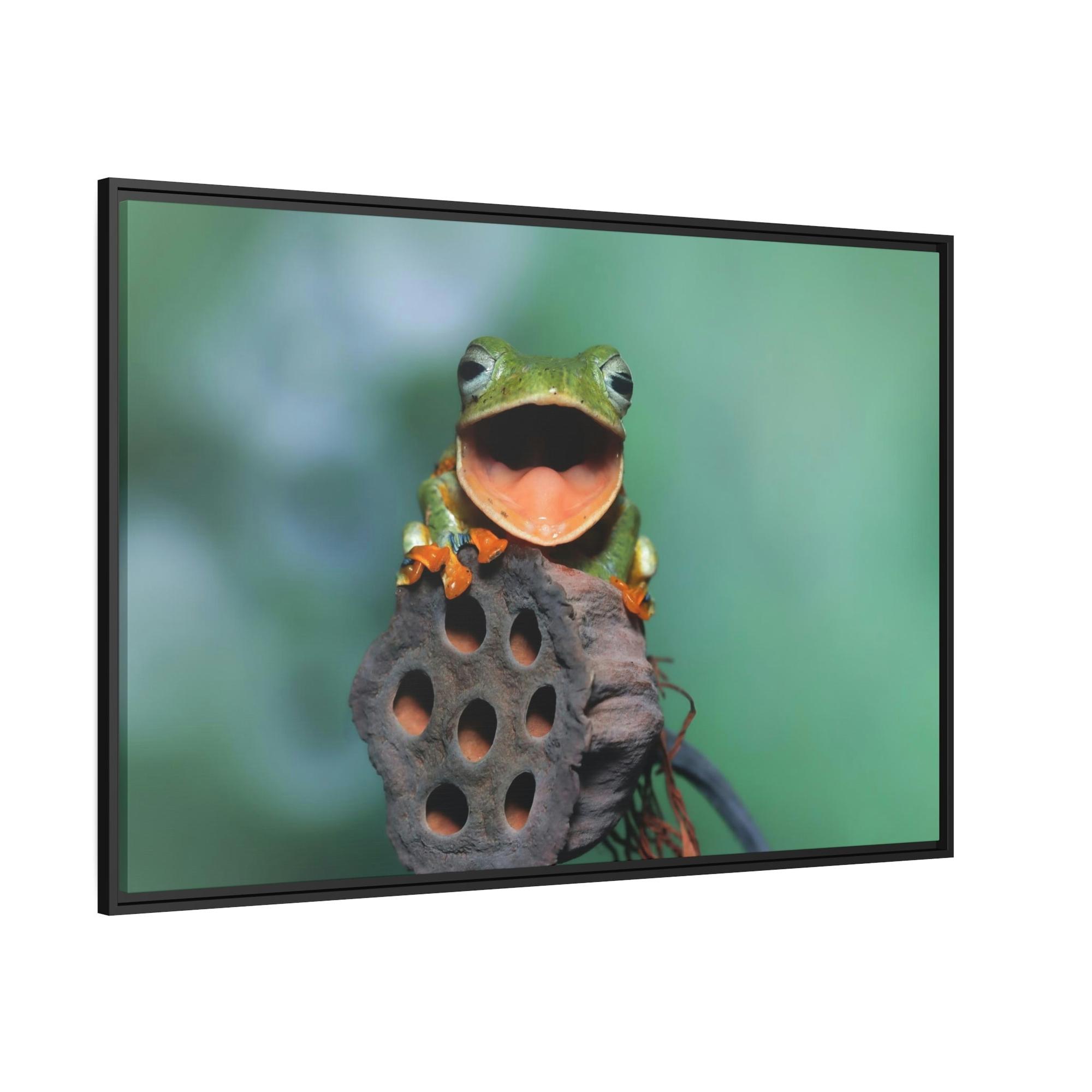 Frogs A Frog's World: An Exploration of Amphibian Life and Habitats