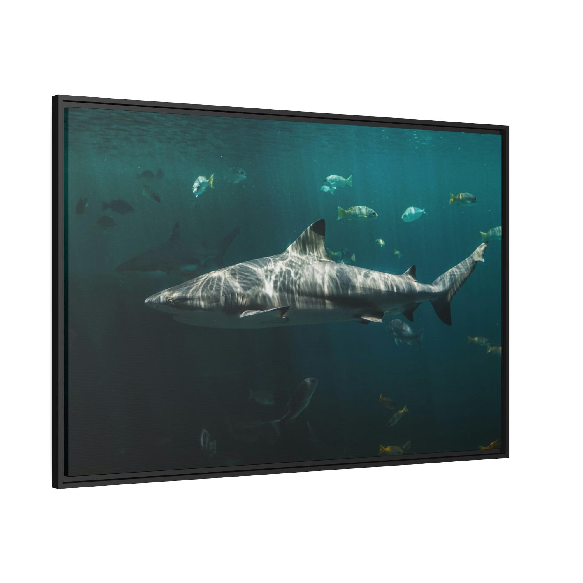 Sharks Silent Predators: Sharks' Haunting Canvas